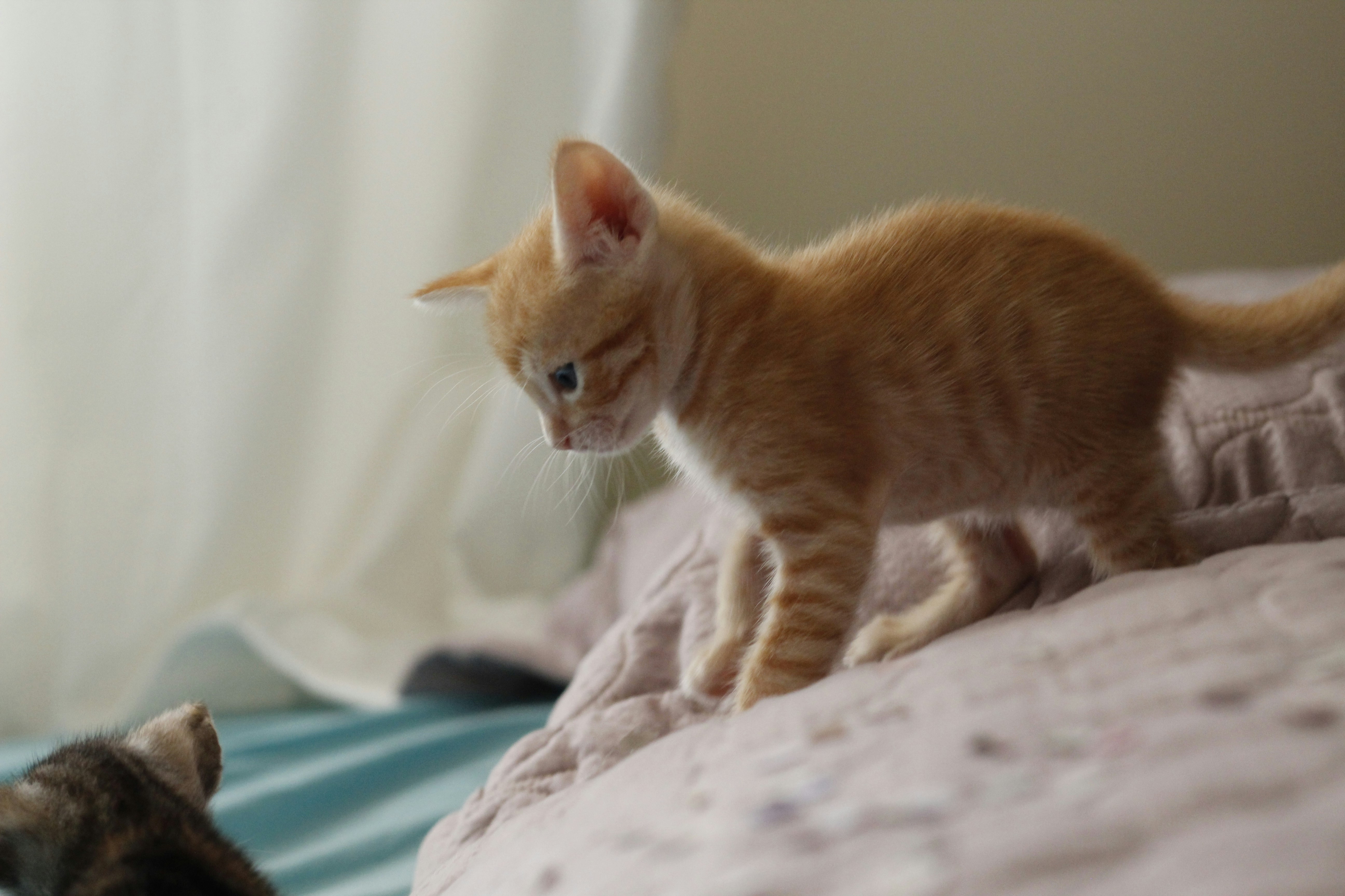 Photo by giisilveira