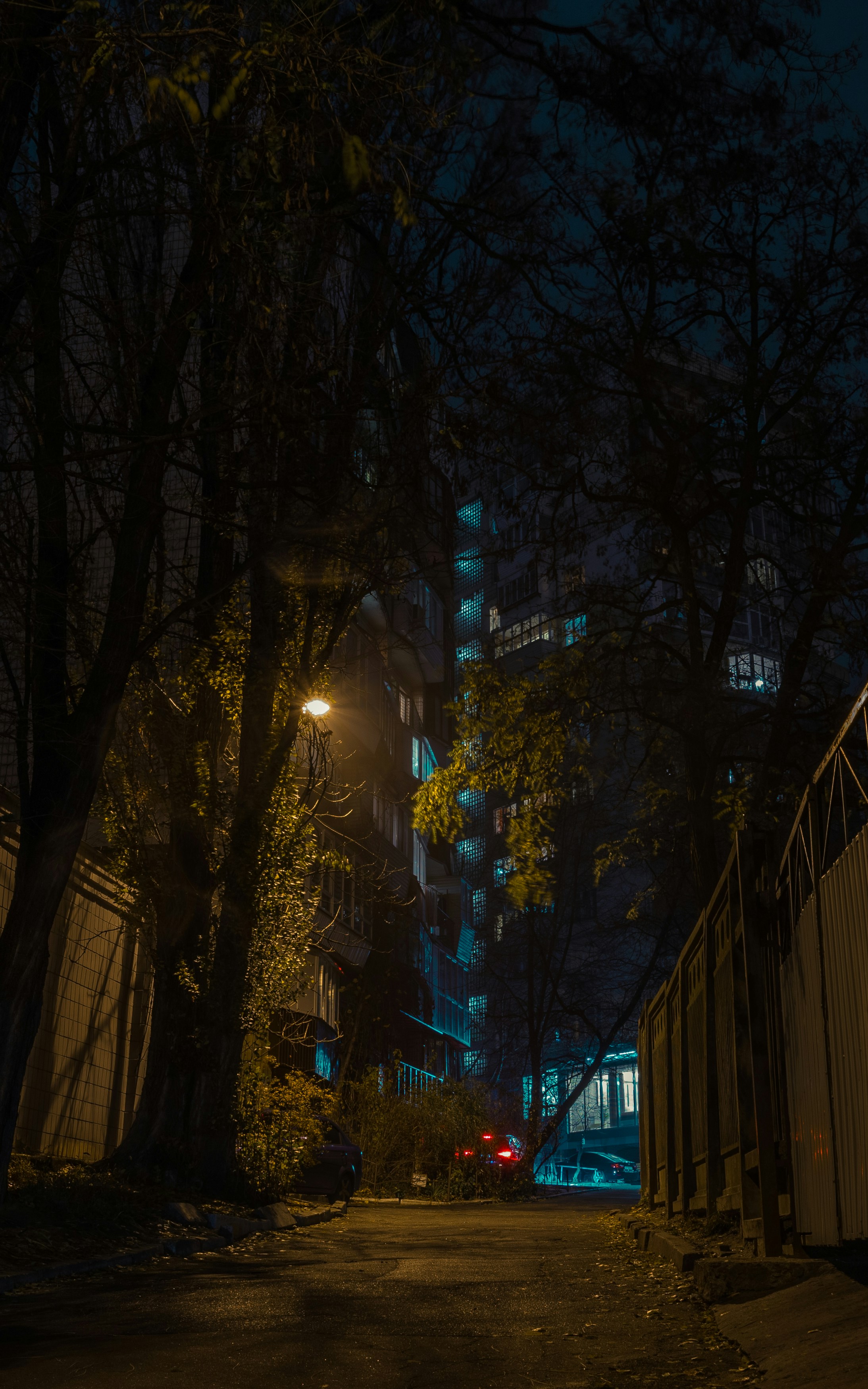 Photo by andrewpetrischev