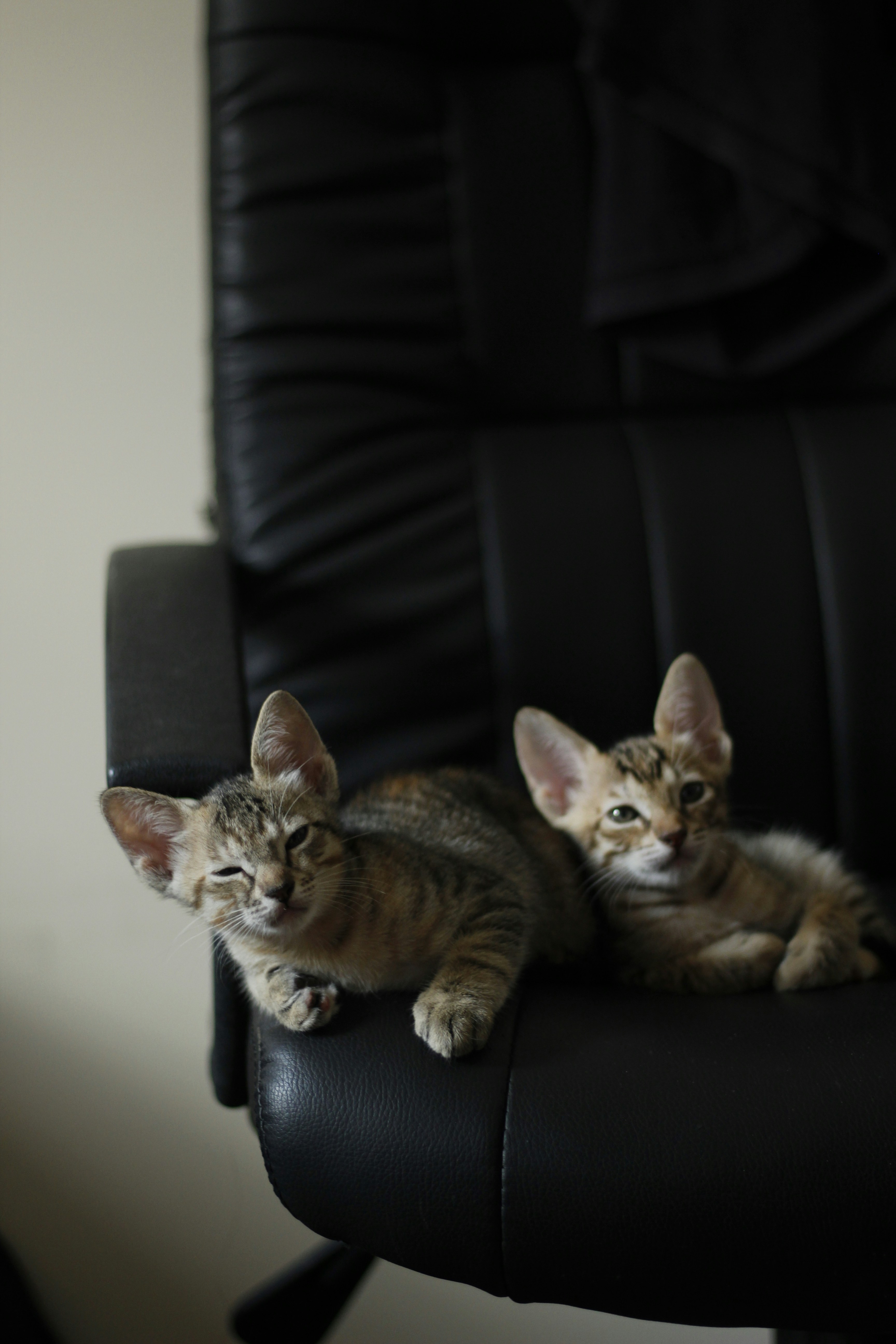 Photo by giisilveira