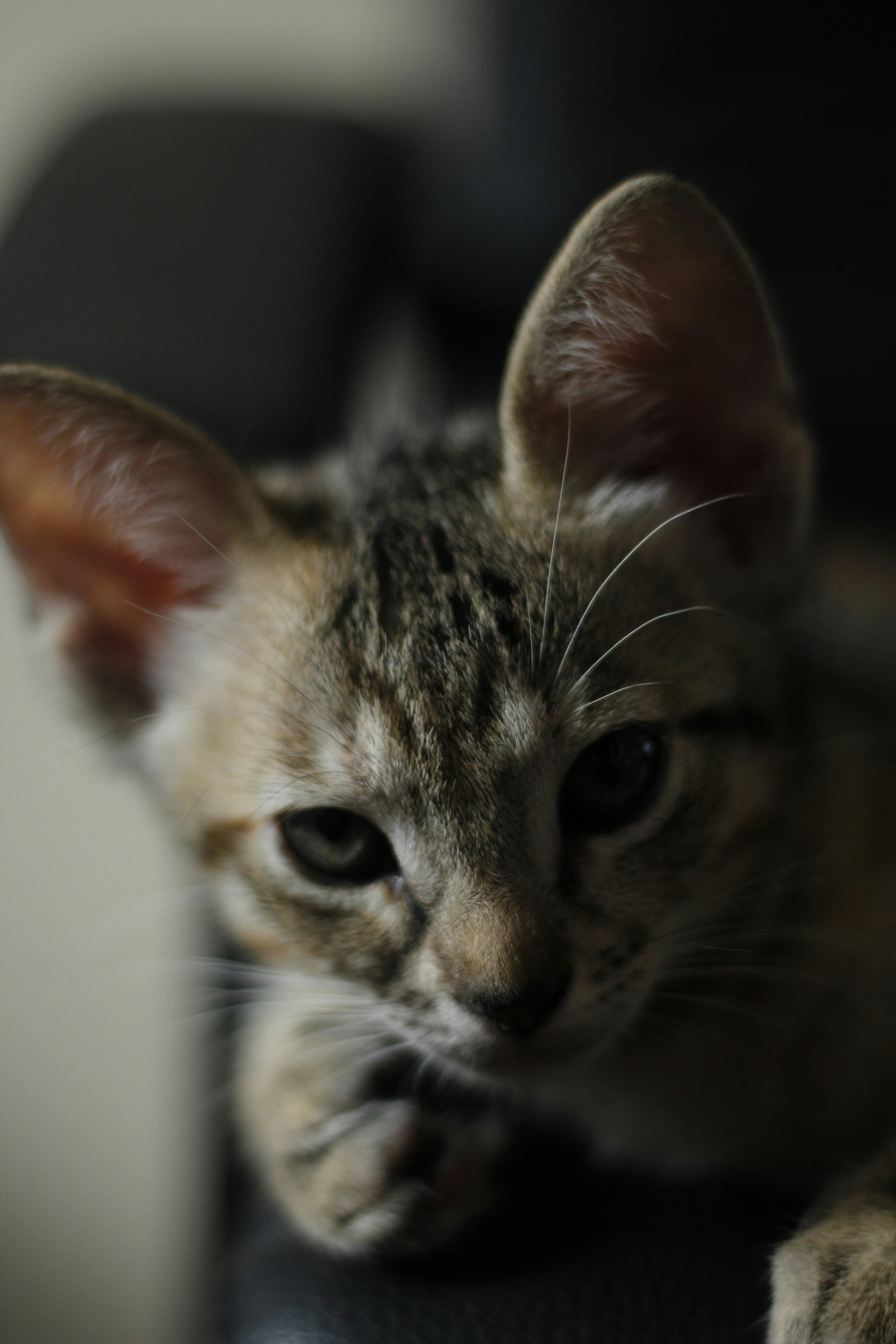 Photo by giisilveira