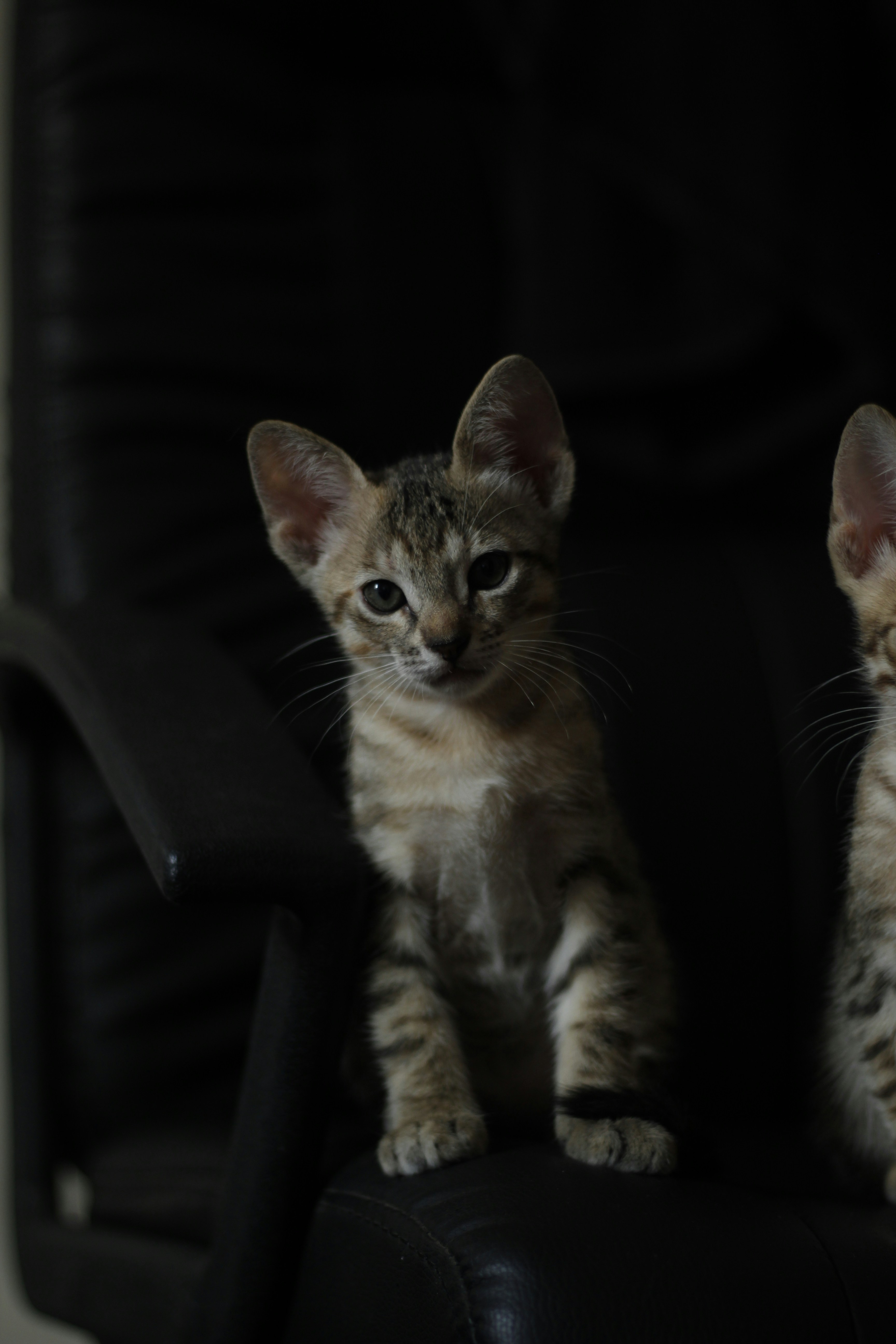 Photo by giisilveira