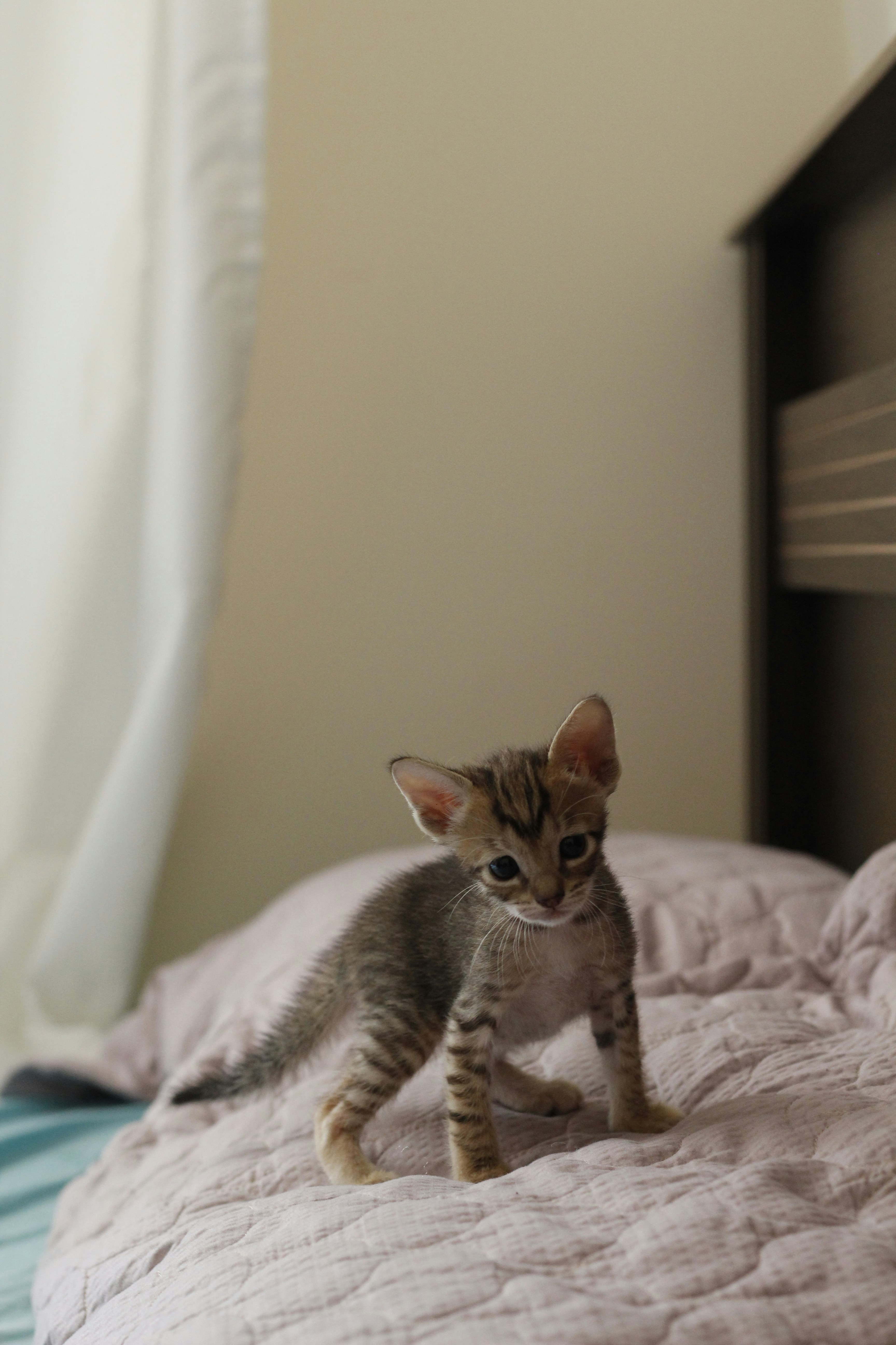 Photo by giisilveira