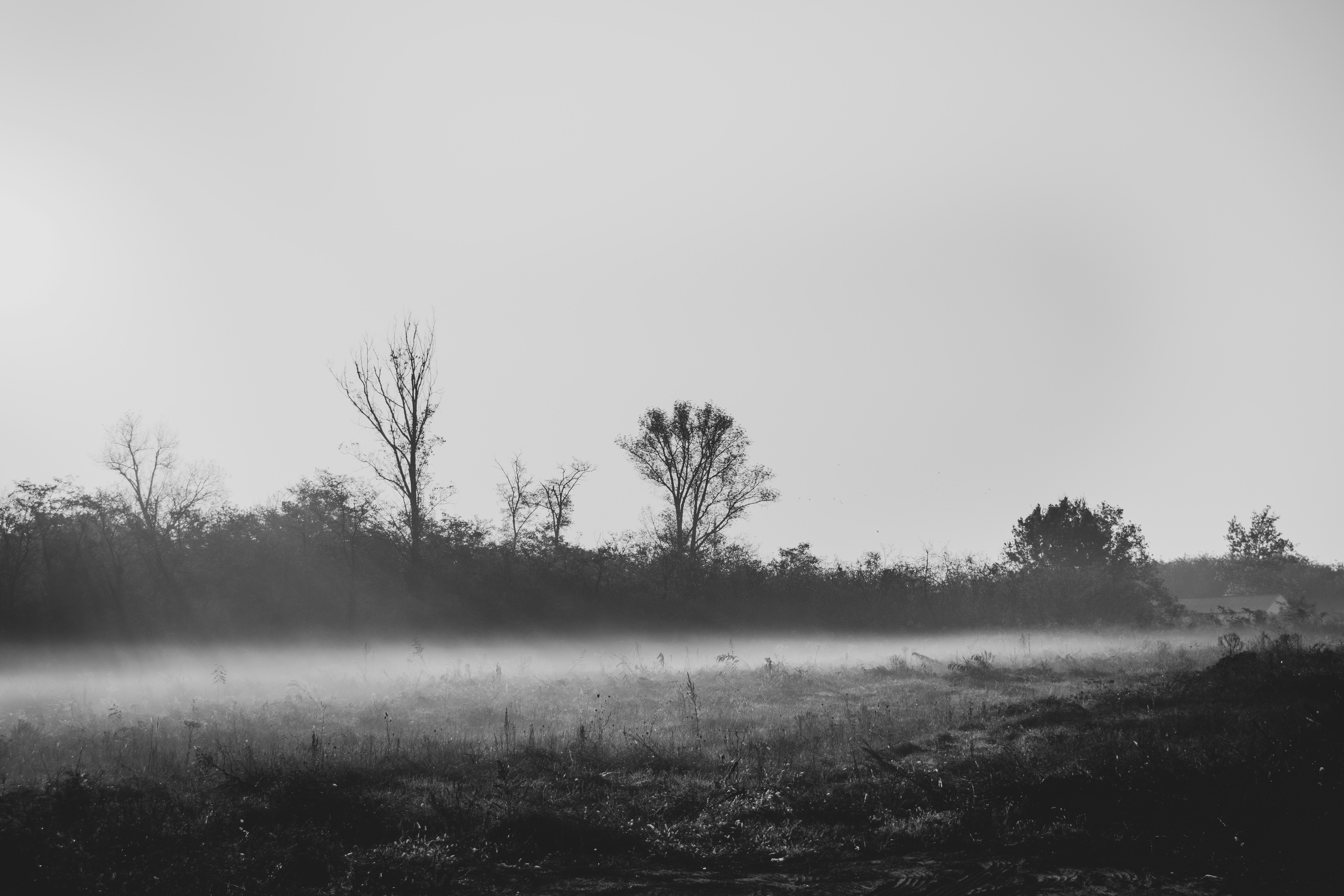 Photo by margagreta_96