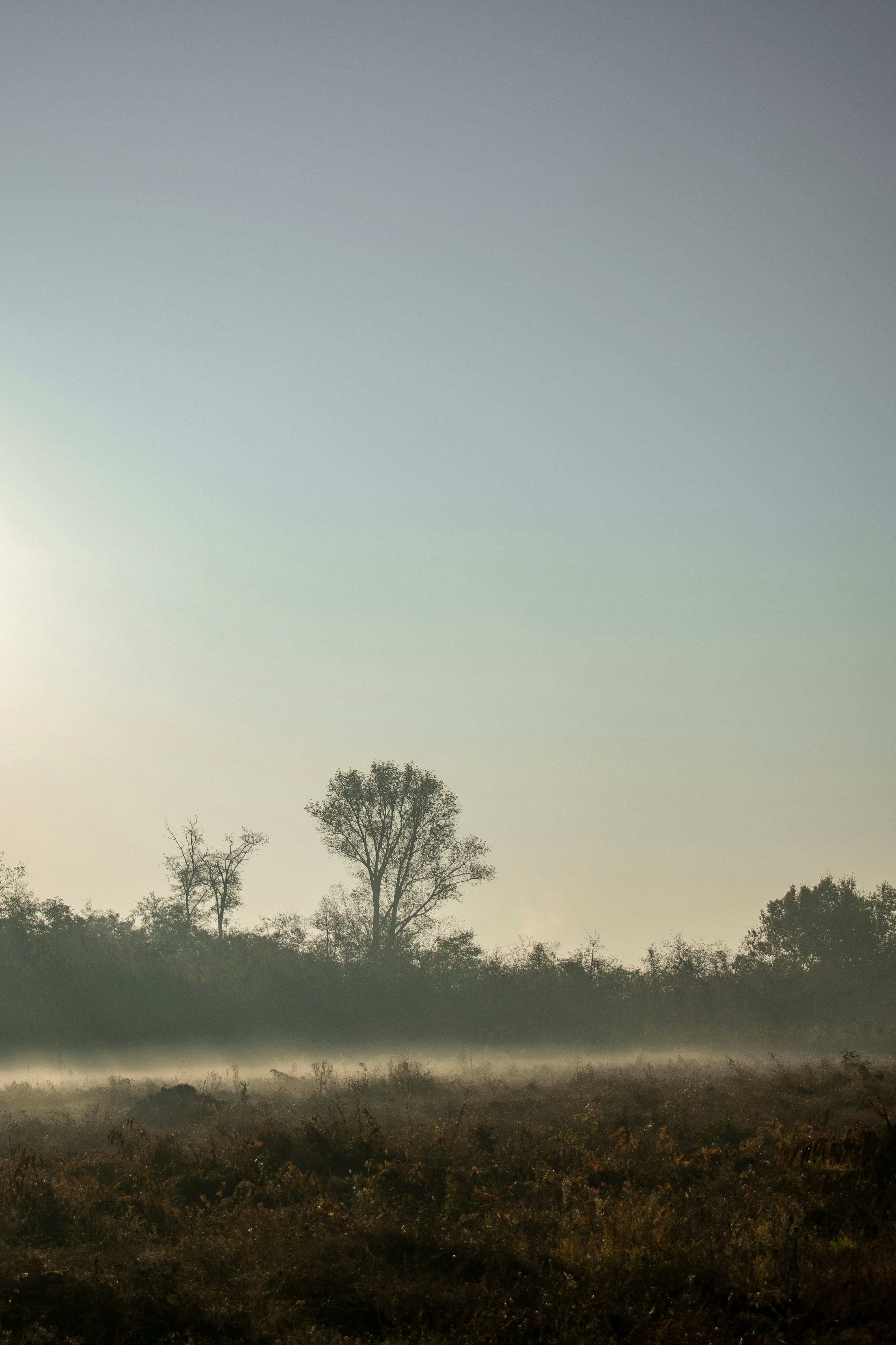 Photo by margagreta_96