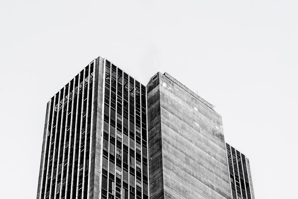건물의 회색조 사진