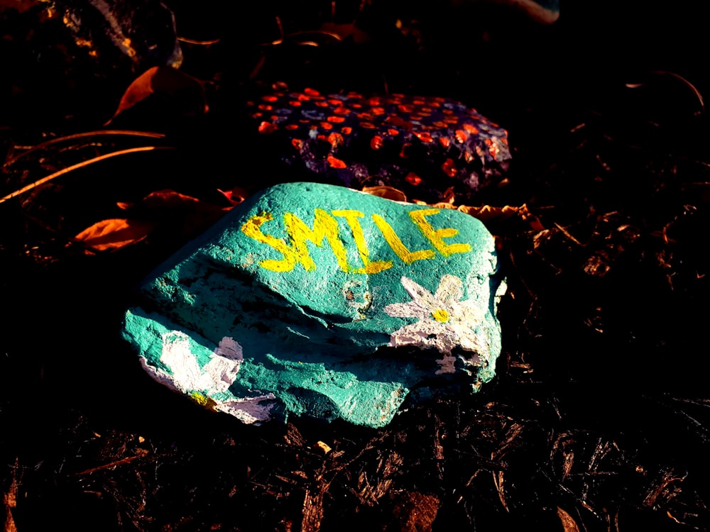 smile-printed rock on soil ground