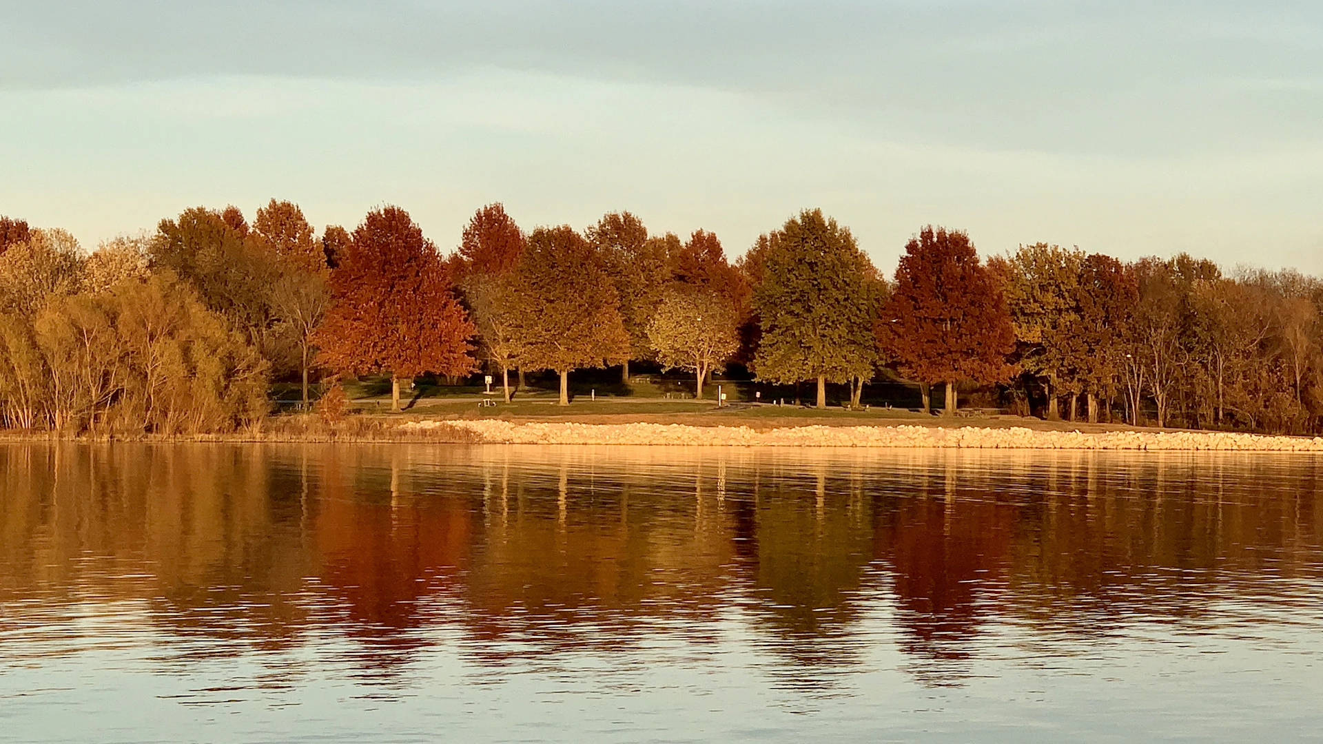 a body of water surrounded by lots of trees