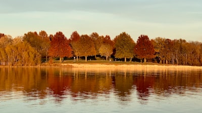 missouri zoom background