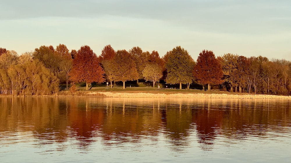 Ein Gewässer, umgeben von vielen Bäumen