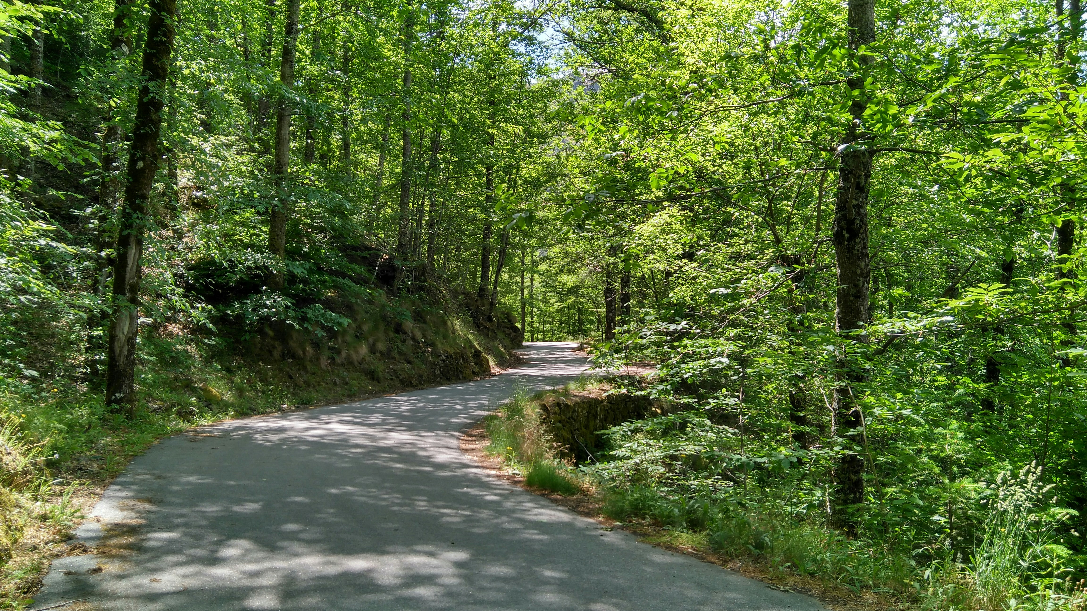 Photo by emanueldavid93