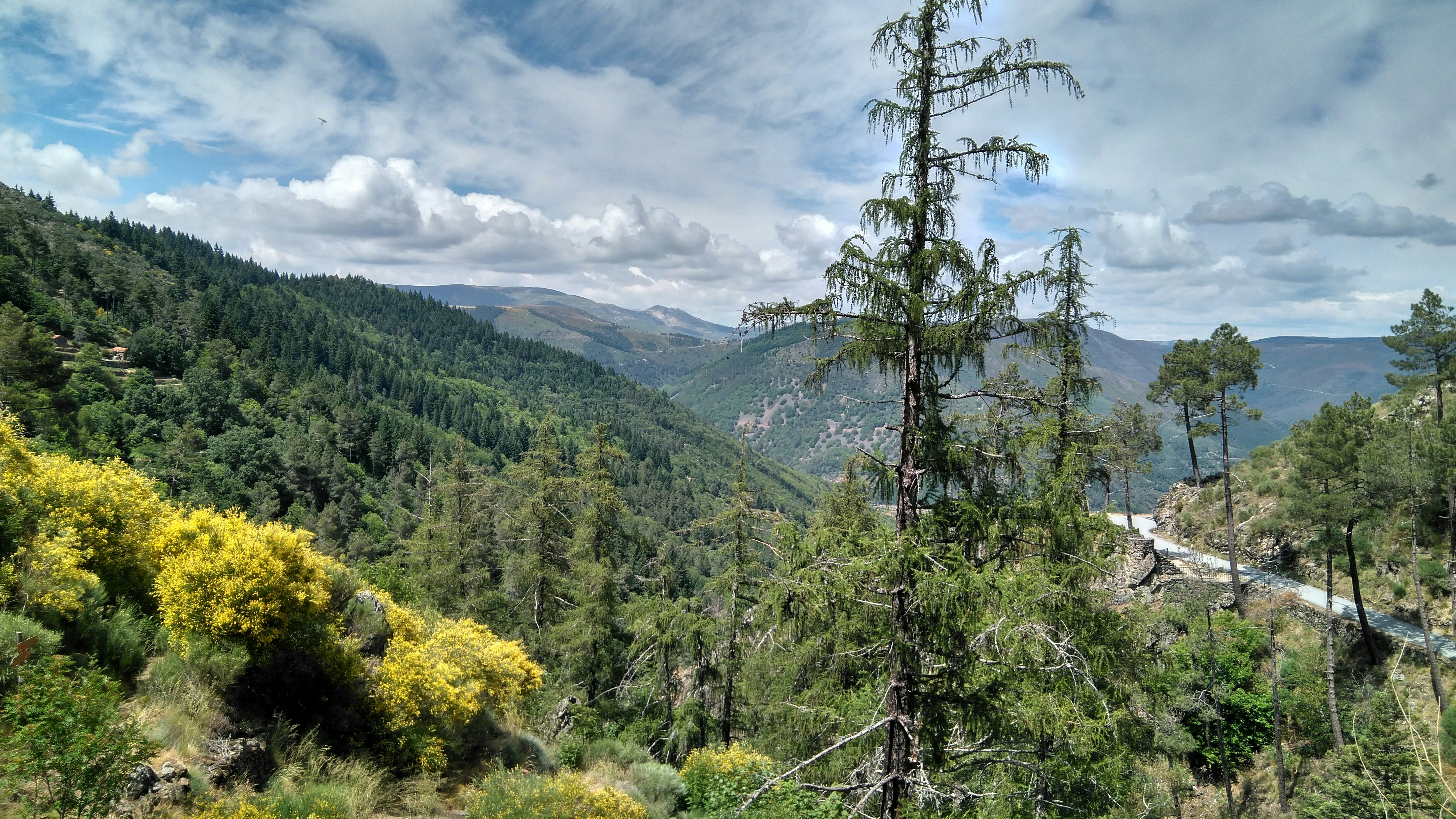 Photo by emanueldavid93