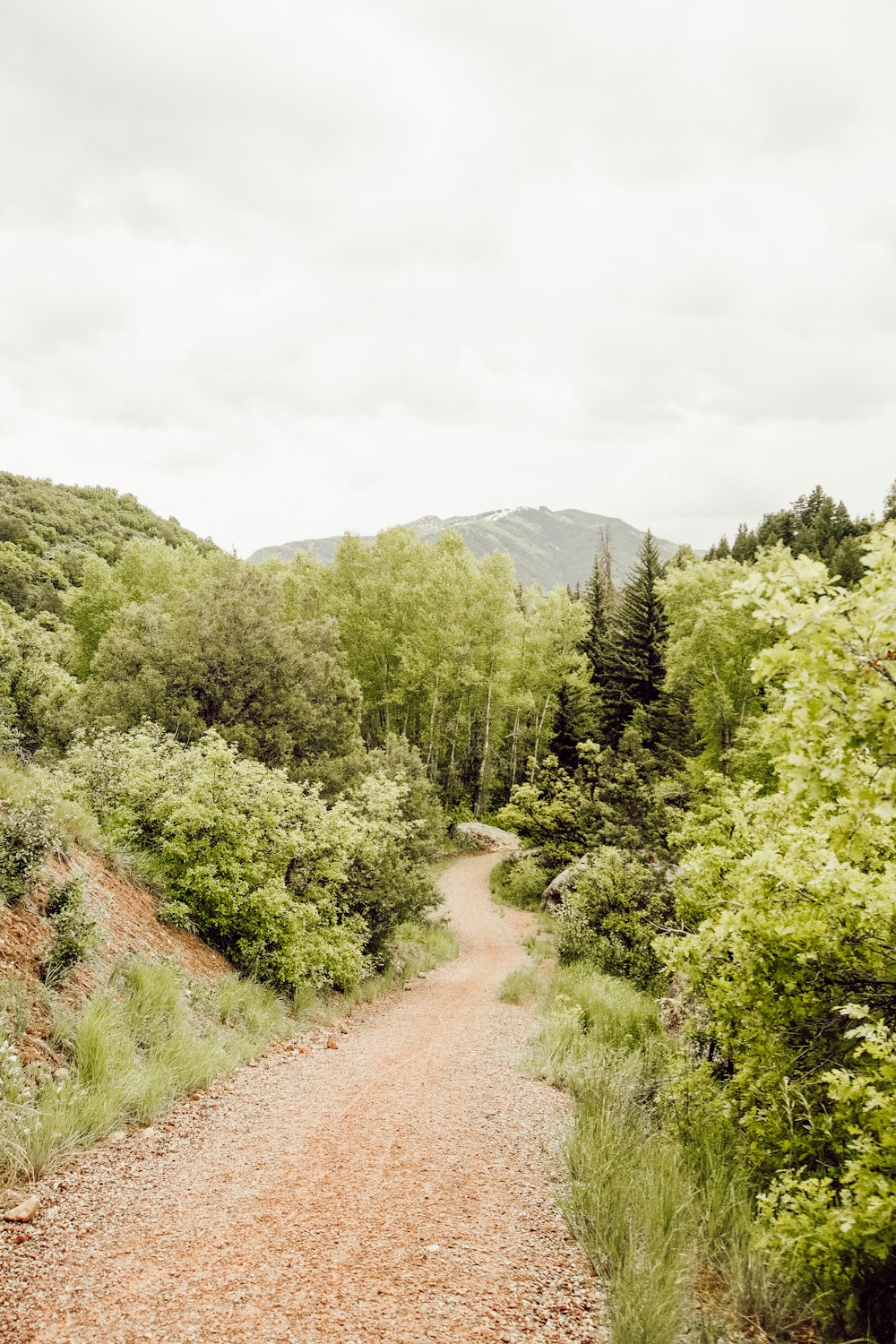 empty pathway