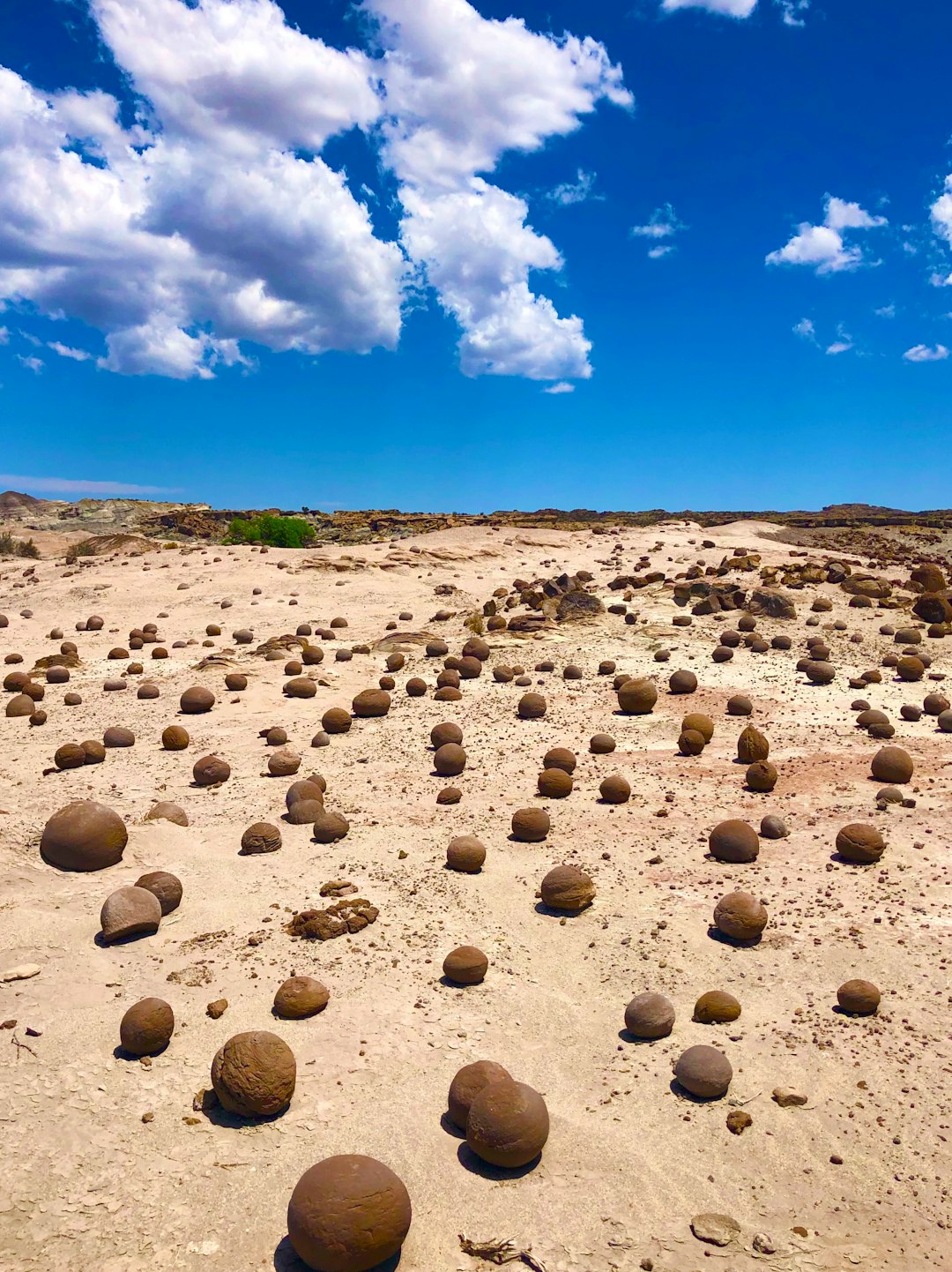 Travel Tips and Stories of Parque Provincial Ischigualasto in Argentina