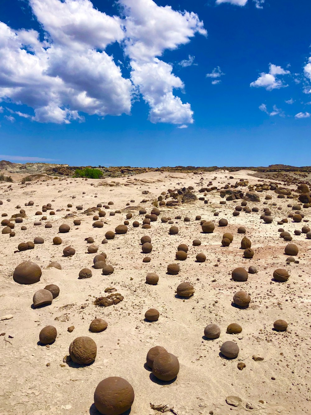 a bunch of rocks that are in the sand