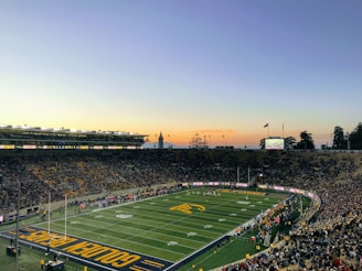 crowd inside green Golden Bears stadium