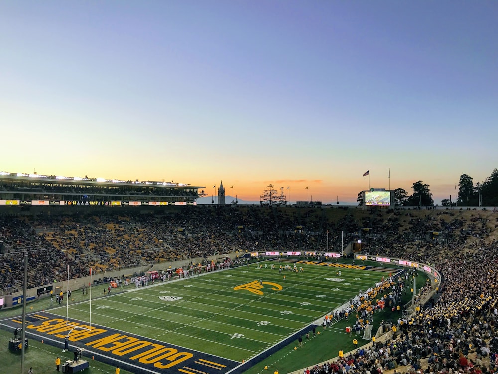 crowd inside green Golden Bears stadium