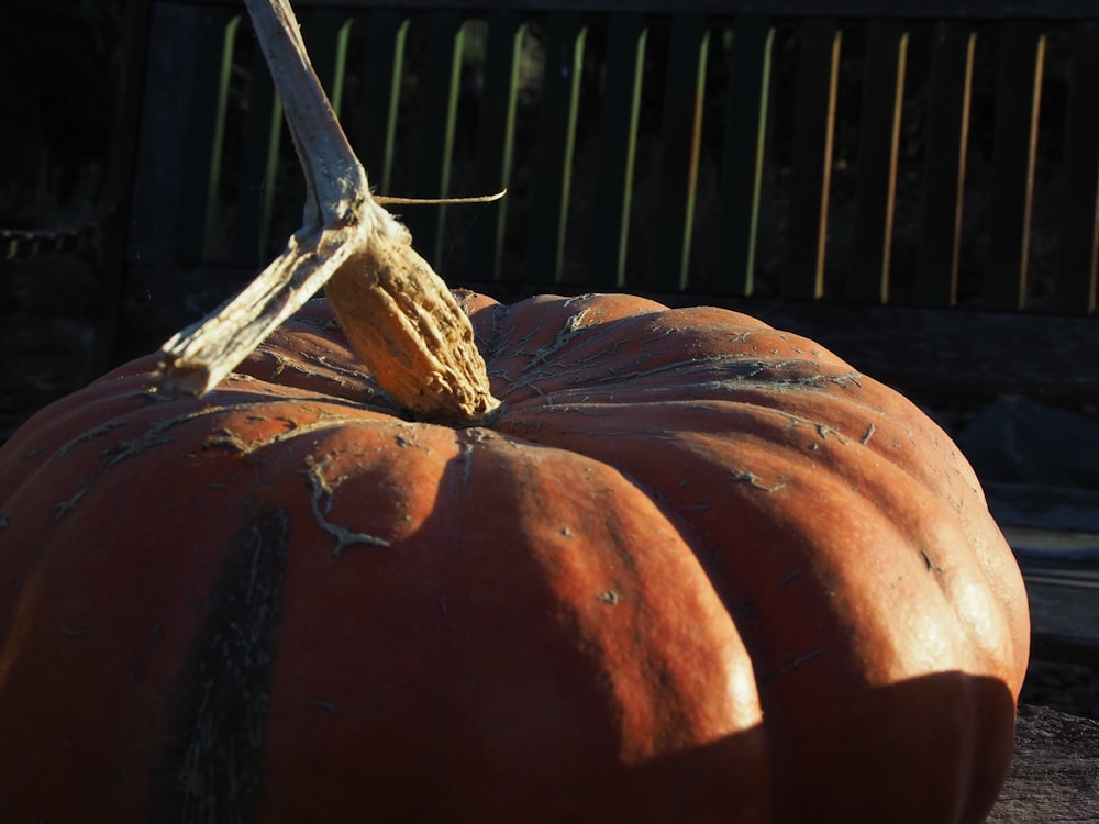 orange pumpkins by rail