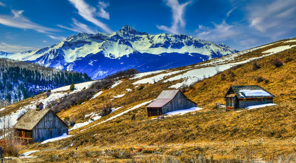 white and brown wooden houses on green field during daytime