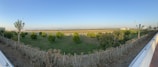 A panoramic view of a raw land parcel with clear boundary markers visible.