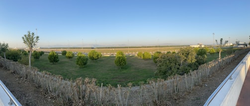 A panoramic view of a raw land parcel with clear boundary markers visible.