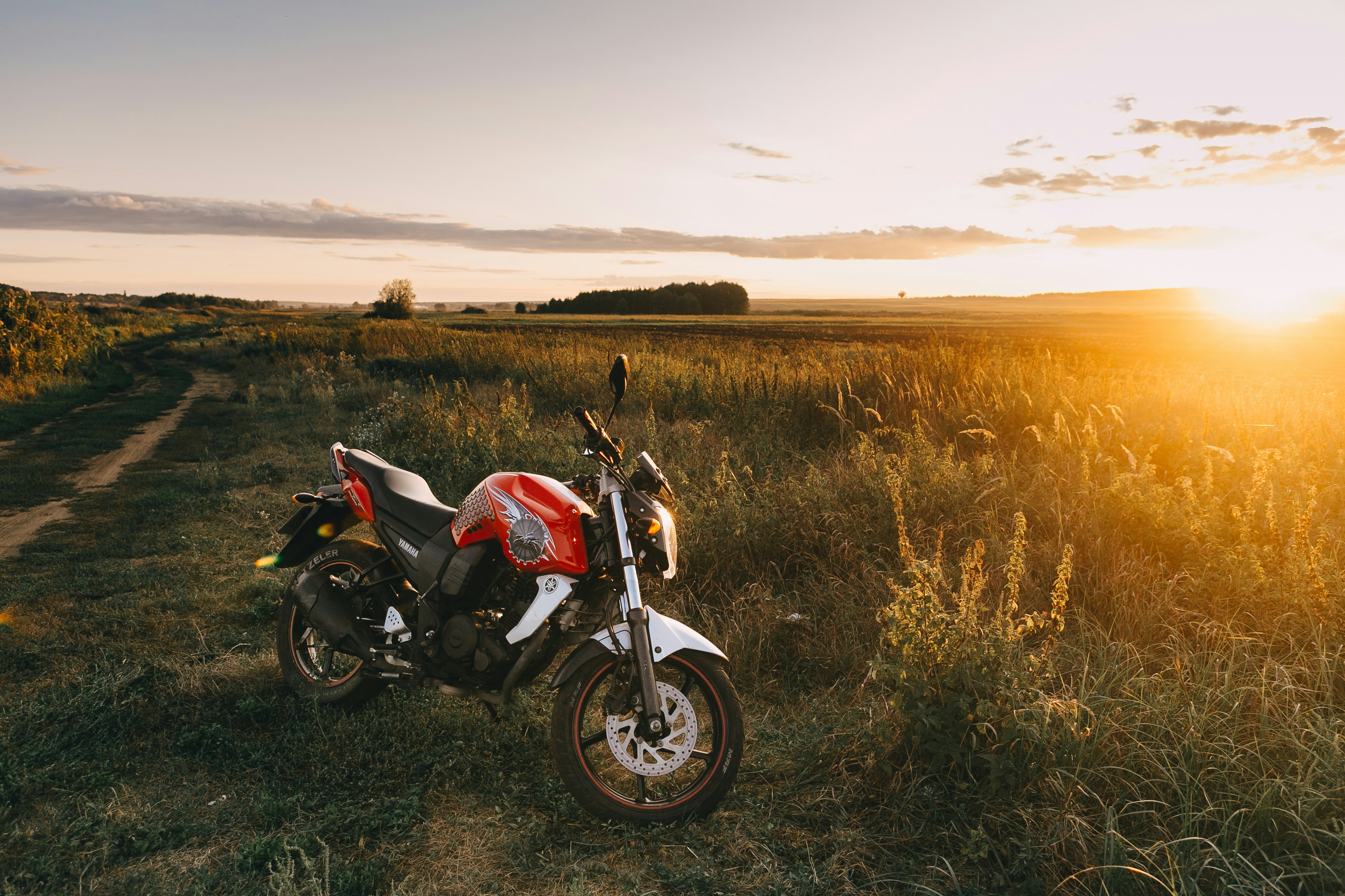 Photo by olga_kononenko