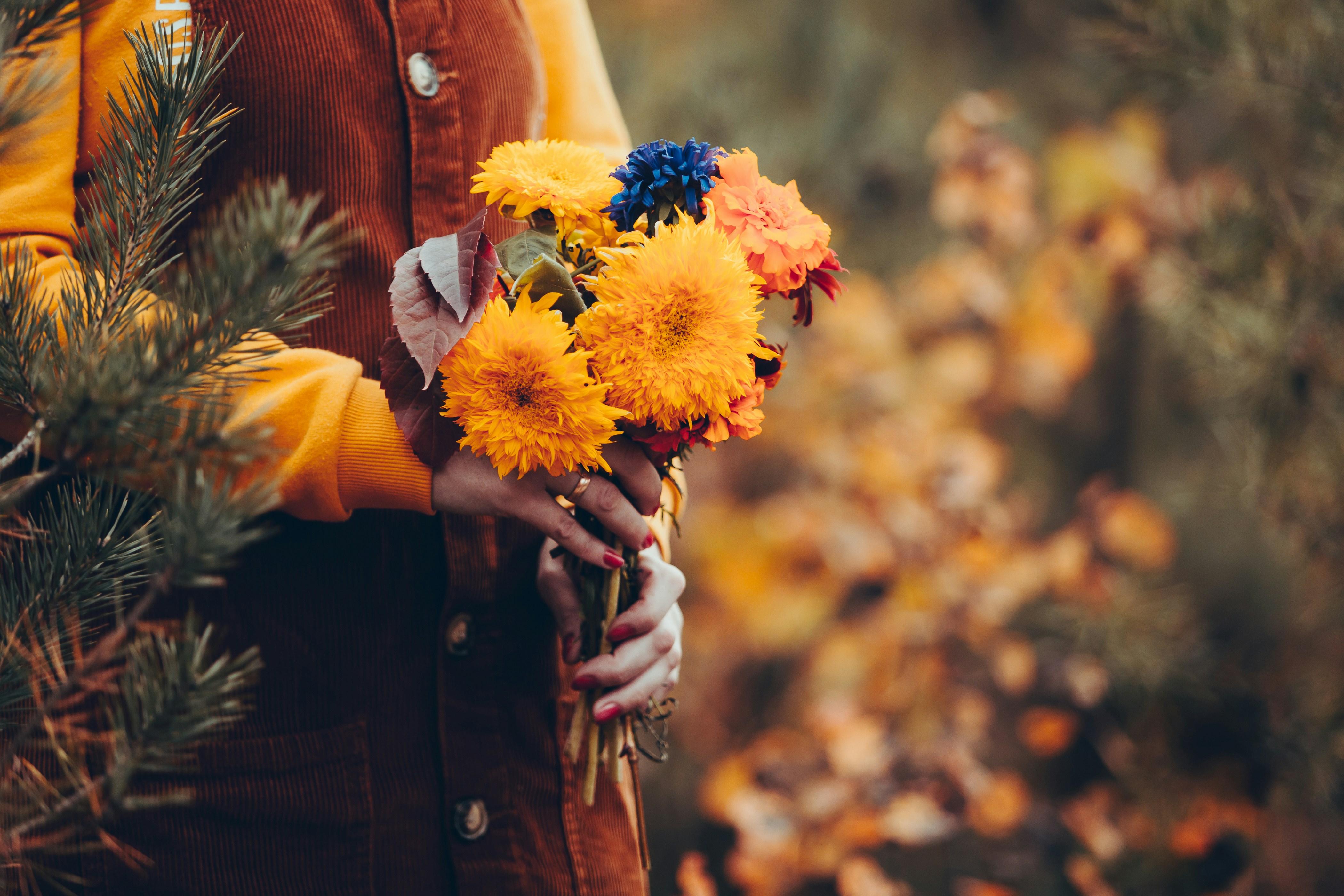 Photo by olga_kononenko