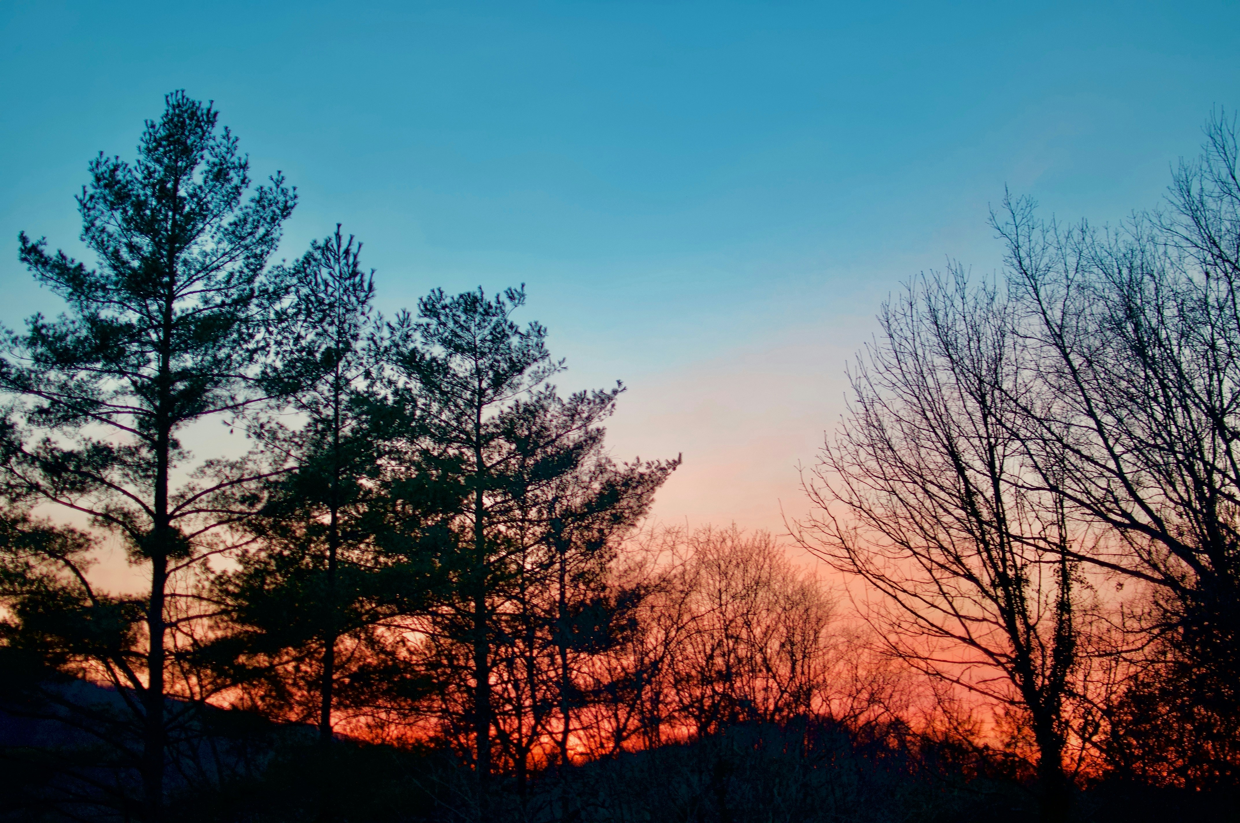 Taken in the mountains at sunset. Probably one of the best sunsets I've ever seen in GA.