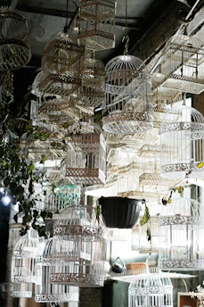 white metal birdcage lot inside a lighted room