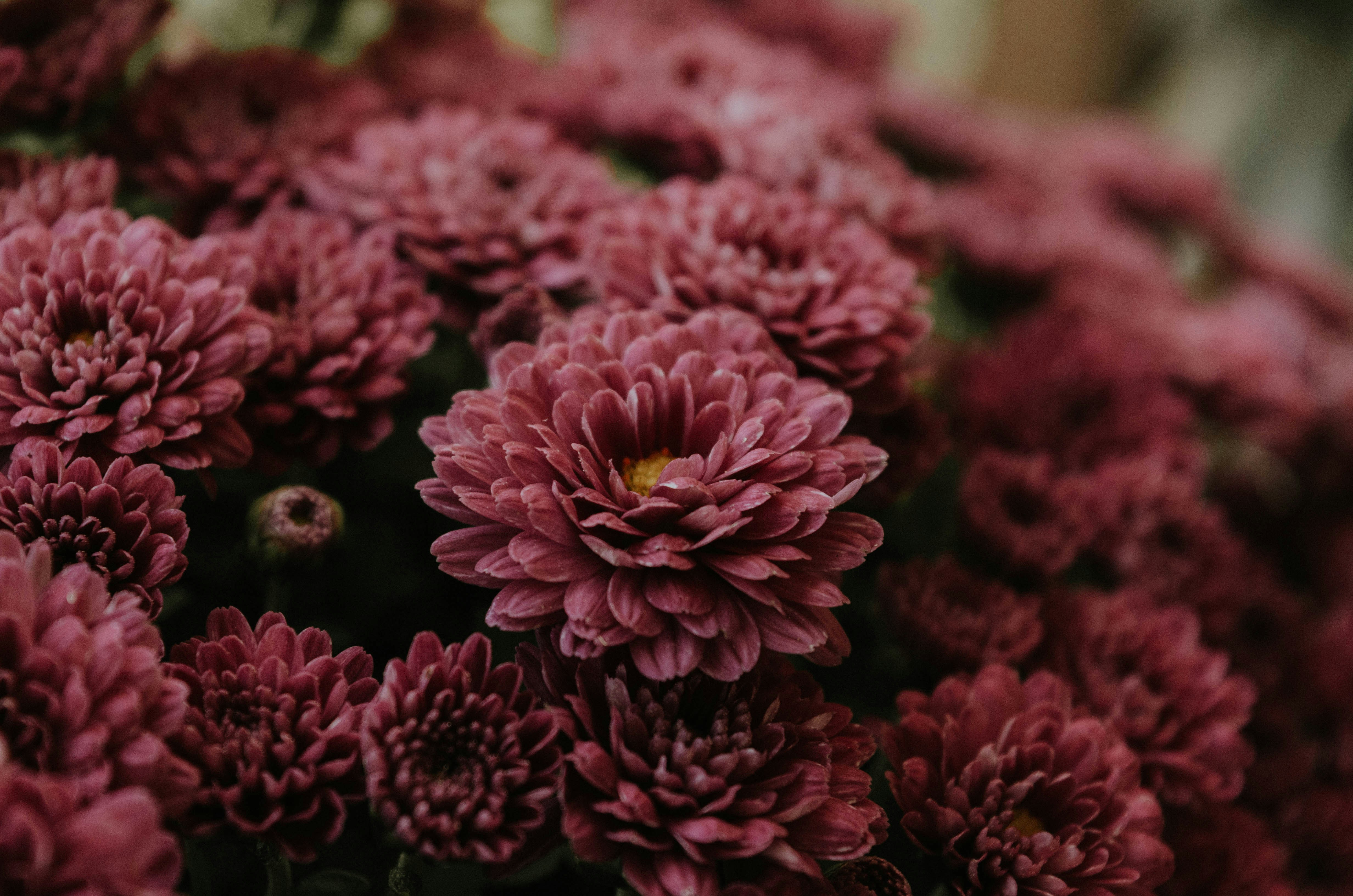 Photo by benignohoyuela