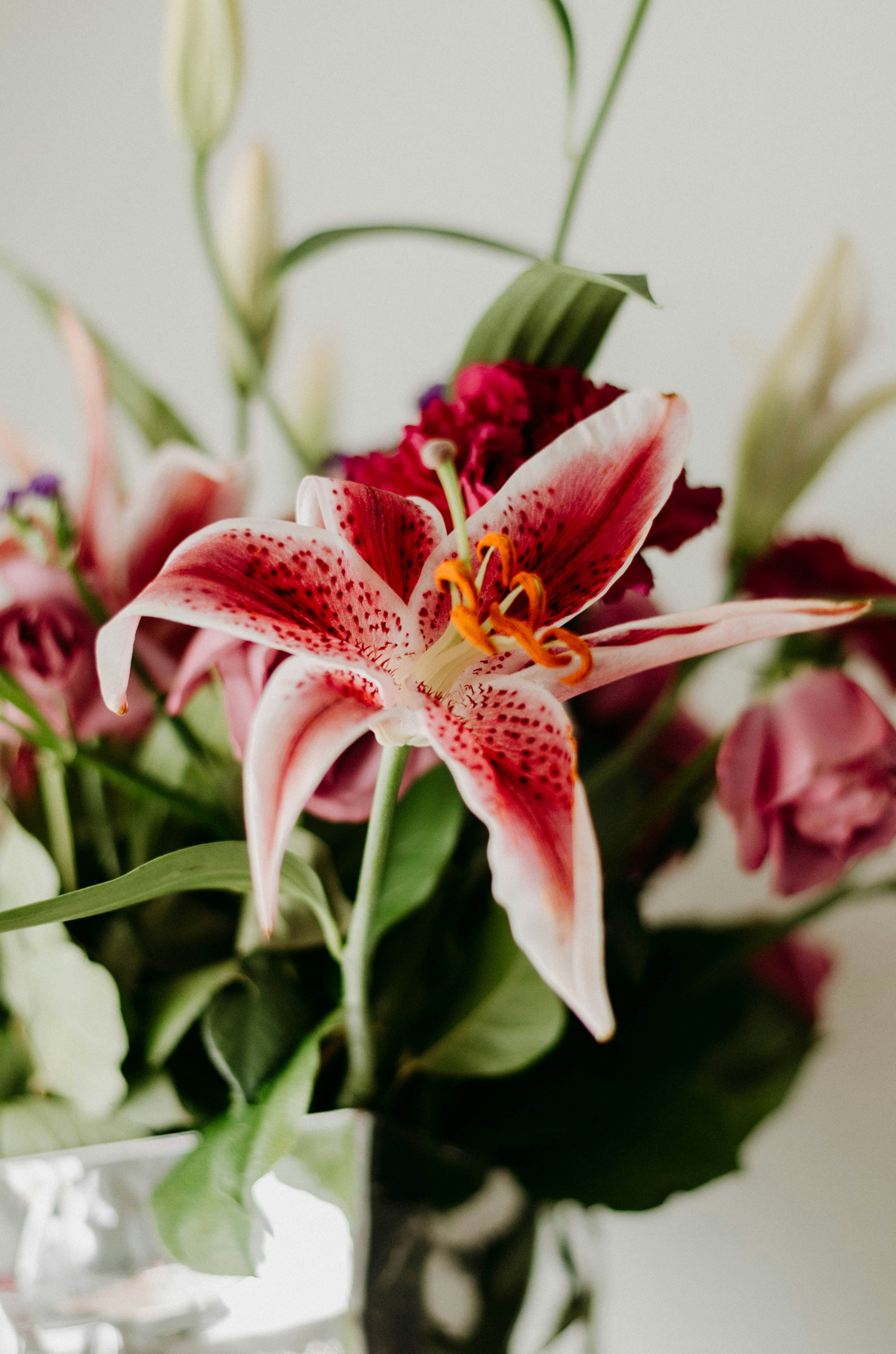 Photo by benignohoyuela