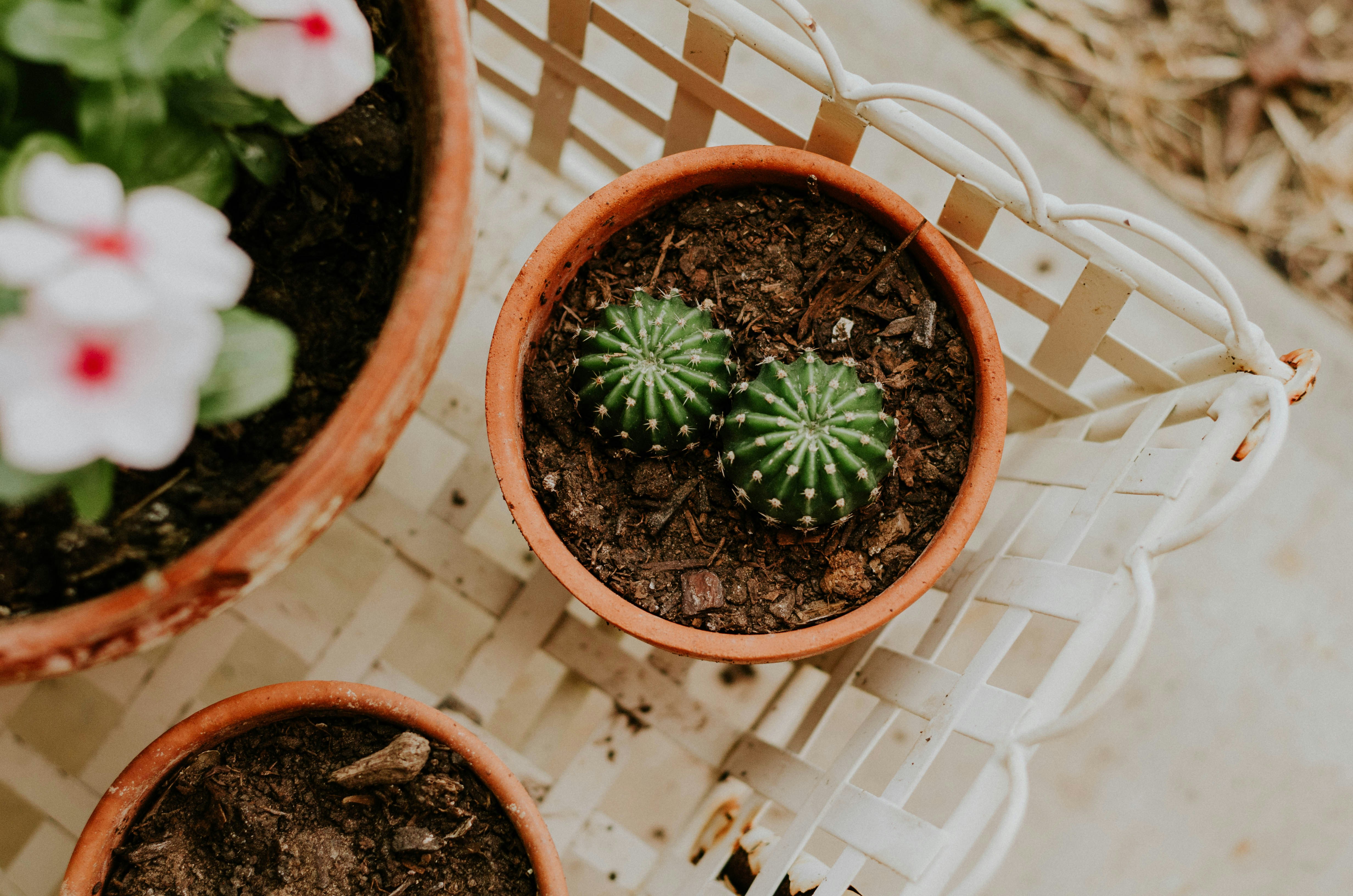 Photo by benignohoyuela