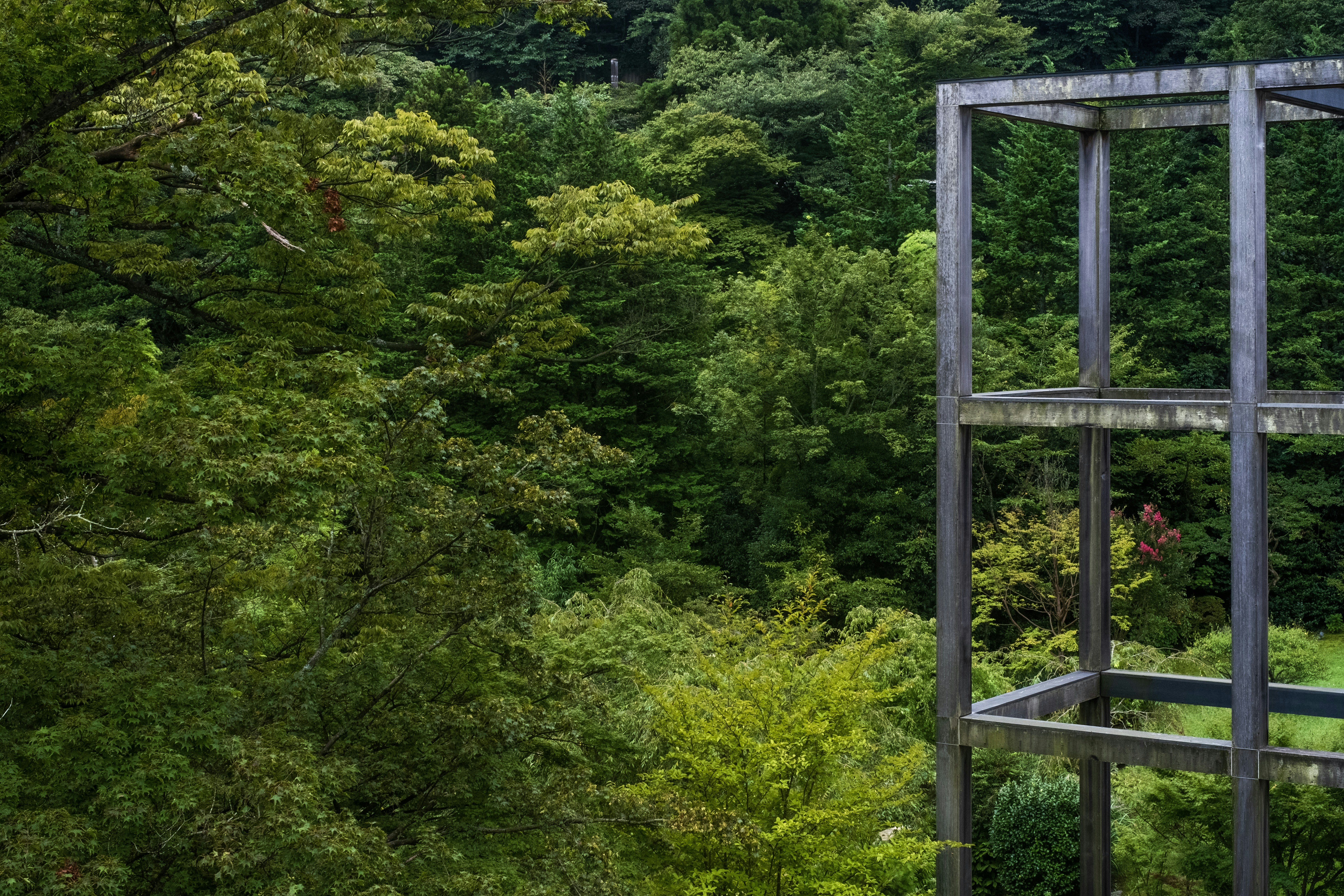 Trees surround the edge of Gora Kadan, a beautiful ryokan in Hakone. 