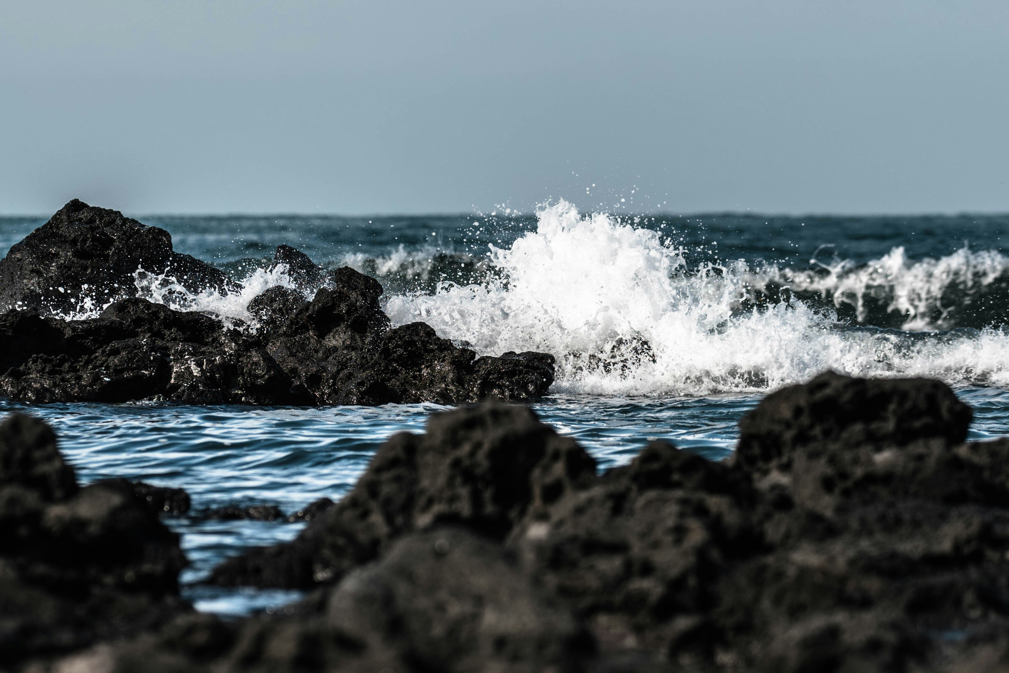 Photo by linzengxiao