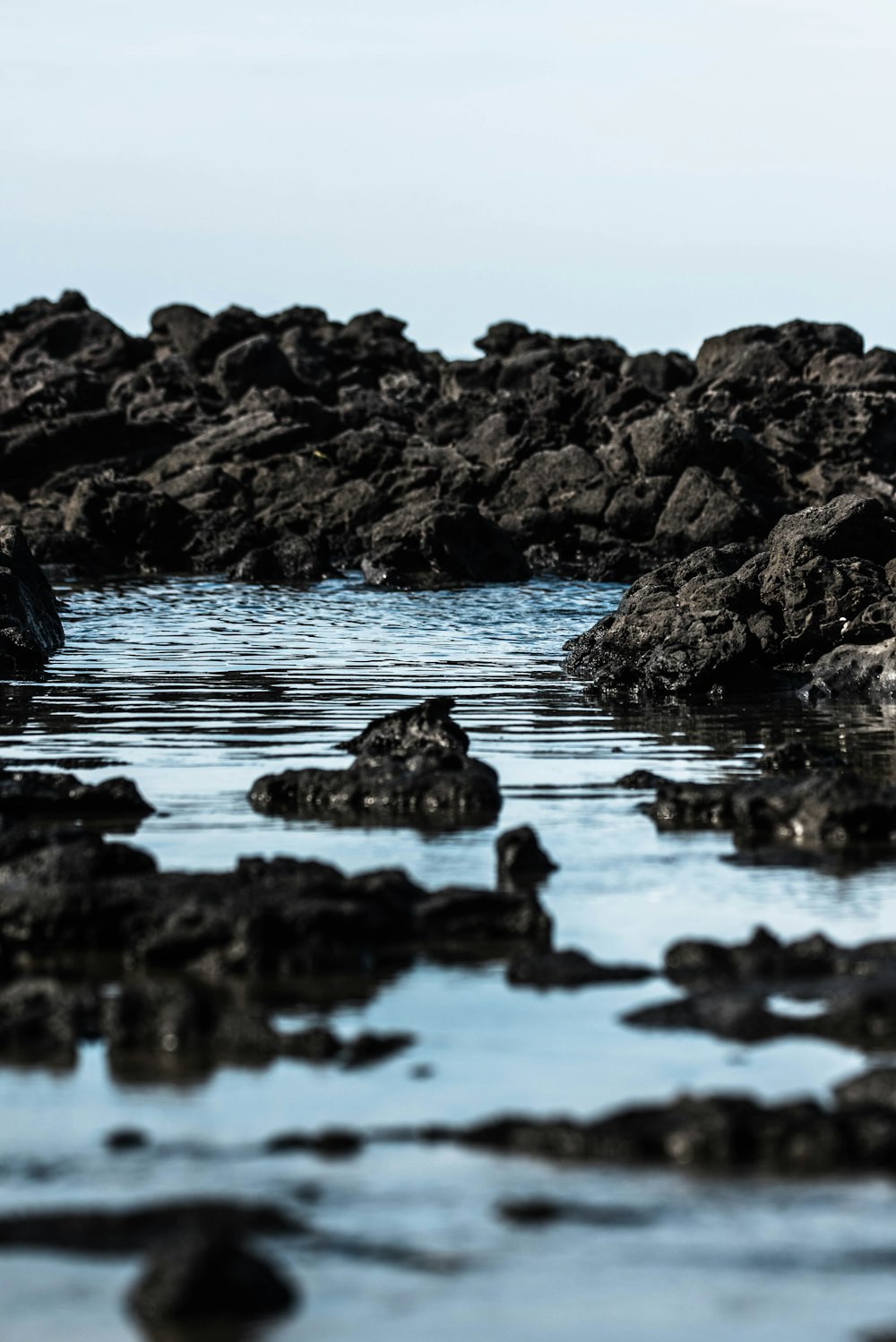 rocky shore during day