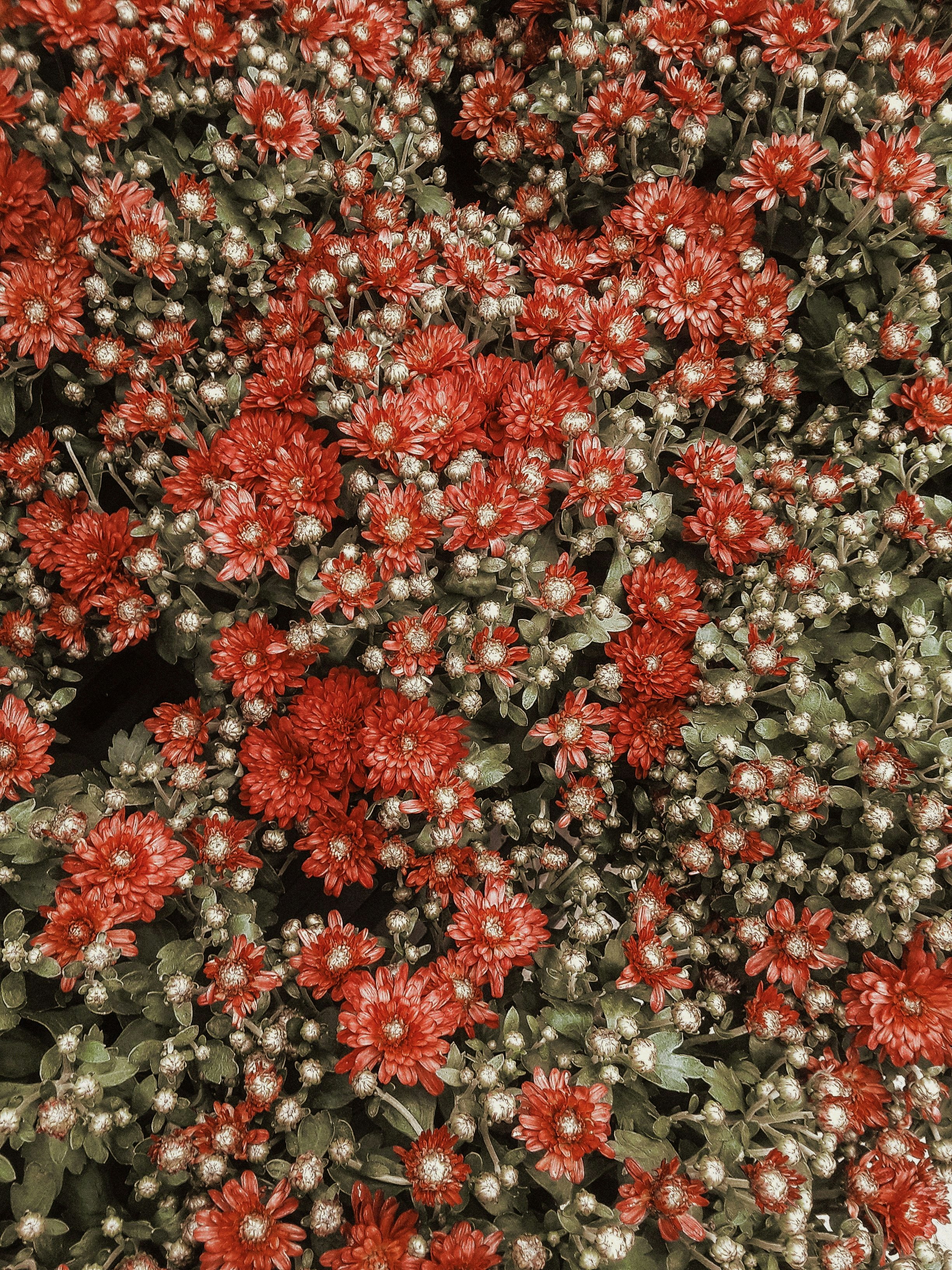 Photo by benignohoyuela