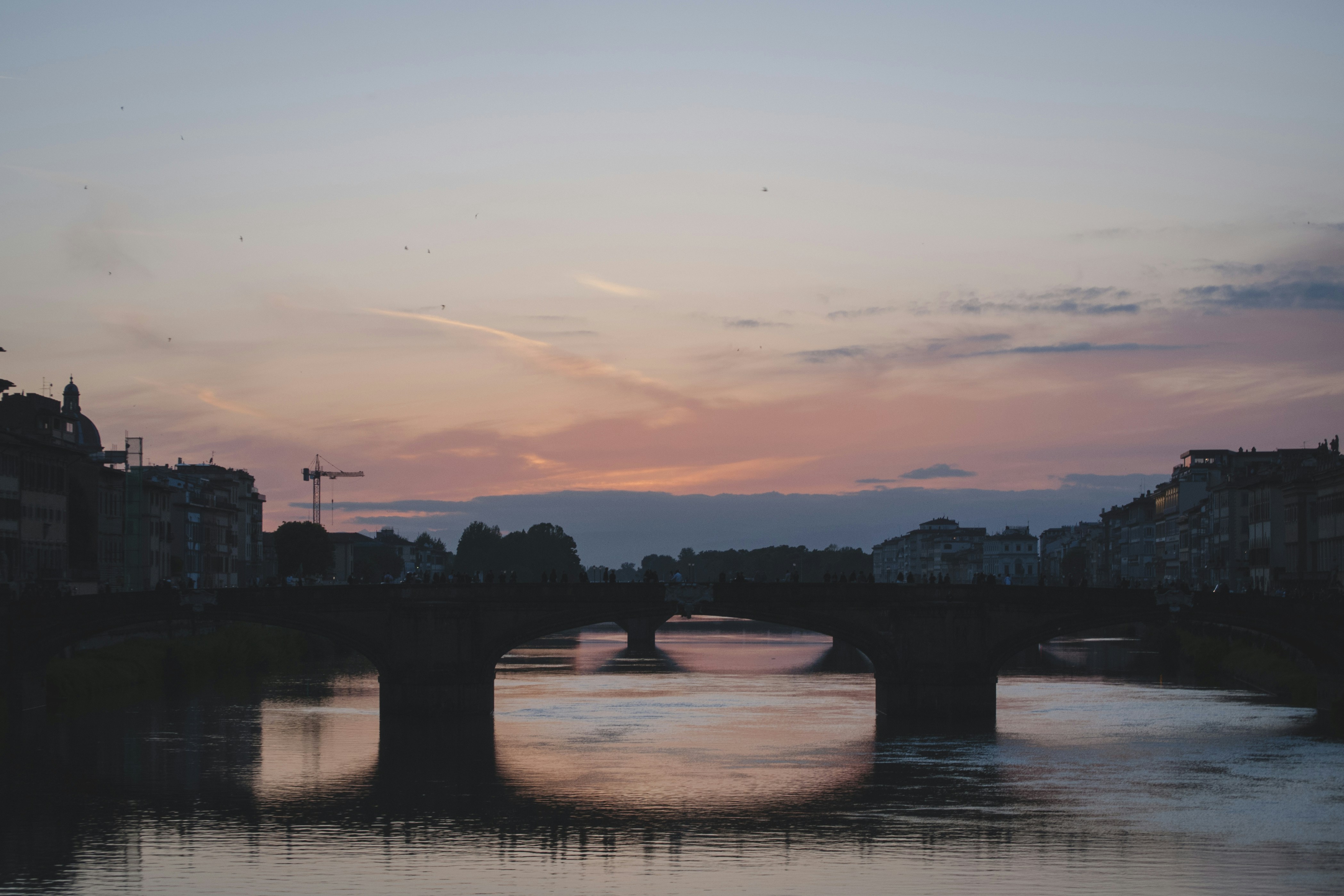 Photo by yuli_superson