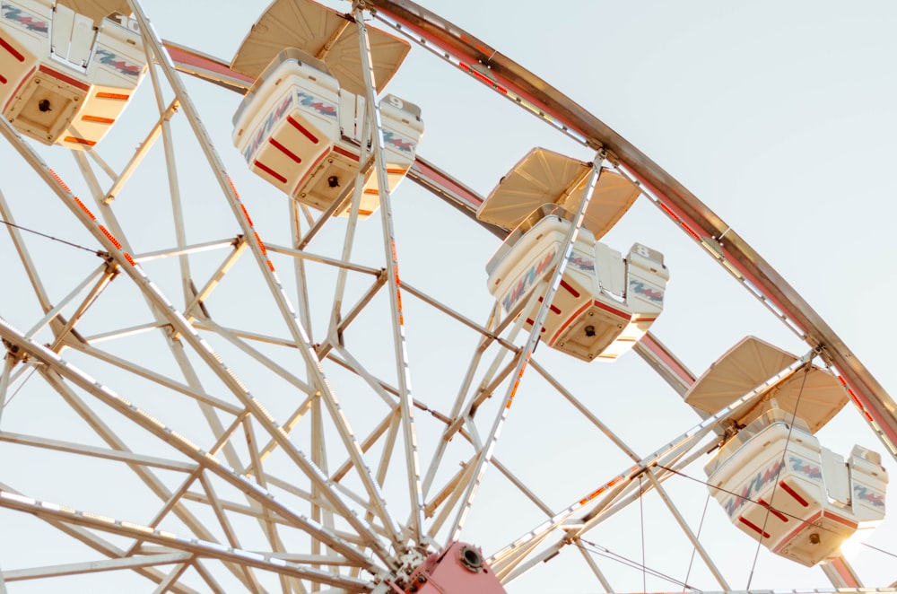 white and red Ferris wheel during day