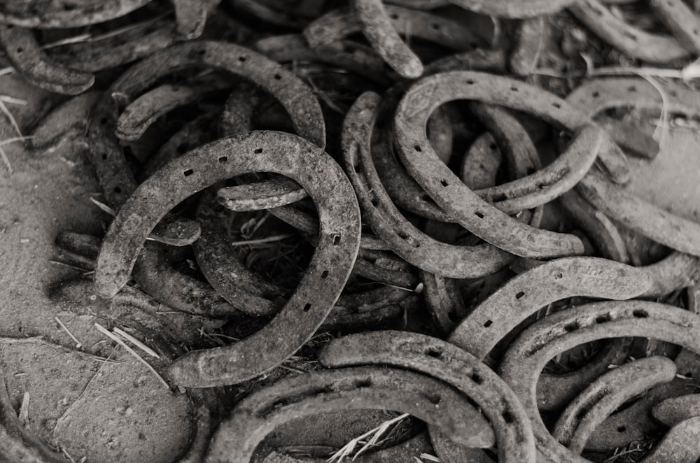 greyscale photography of horseshoes lot