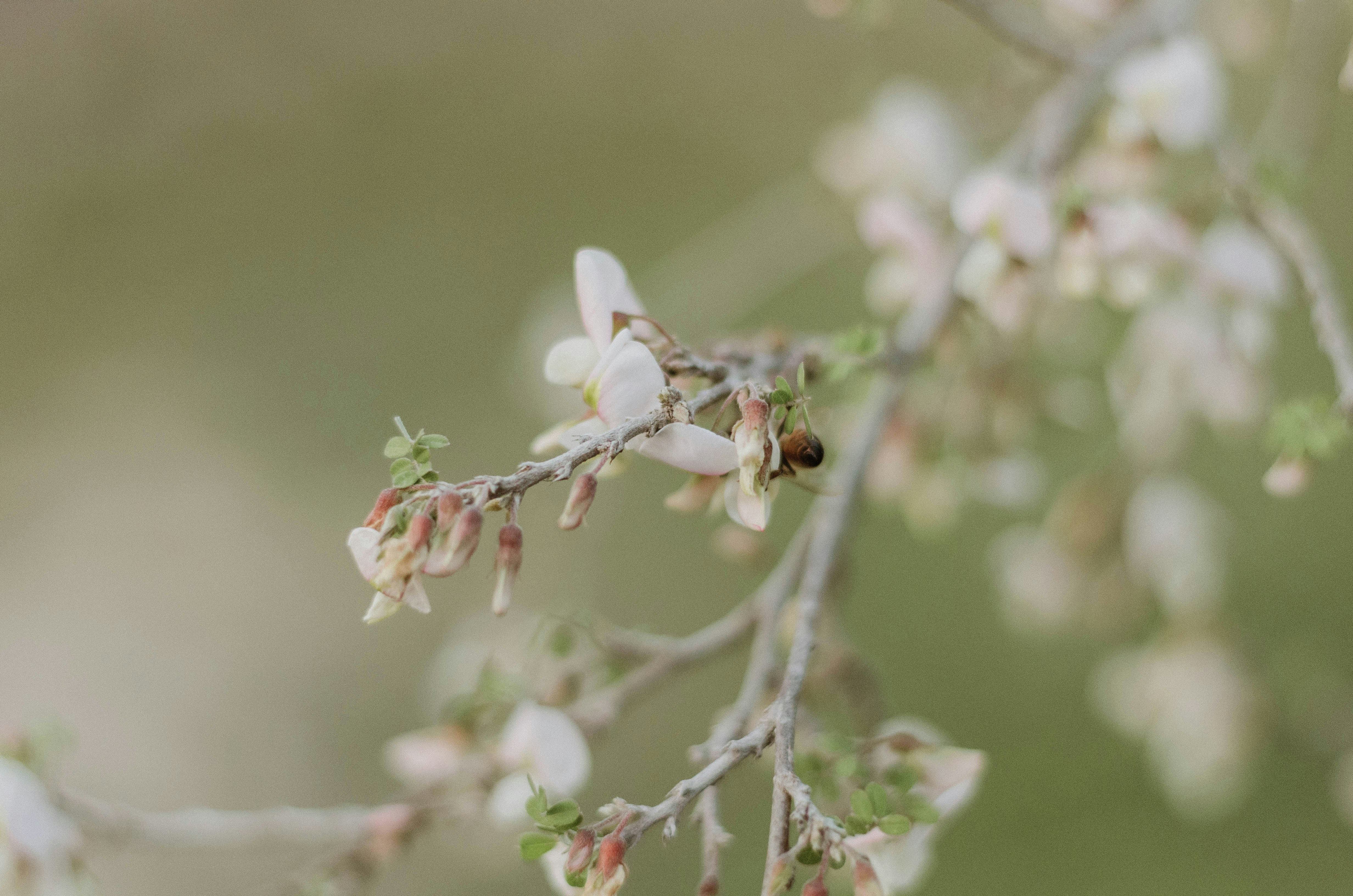 Photo by benignohoyuela