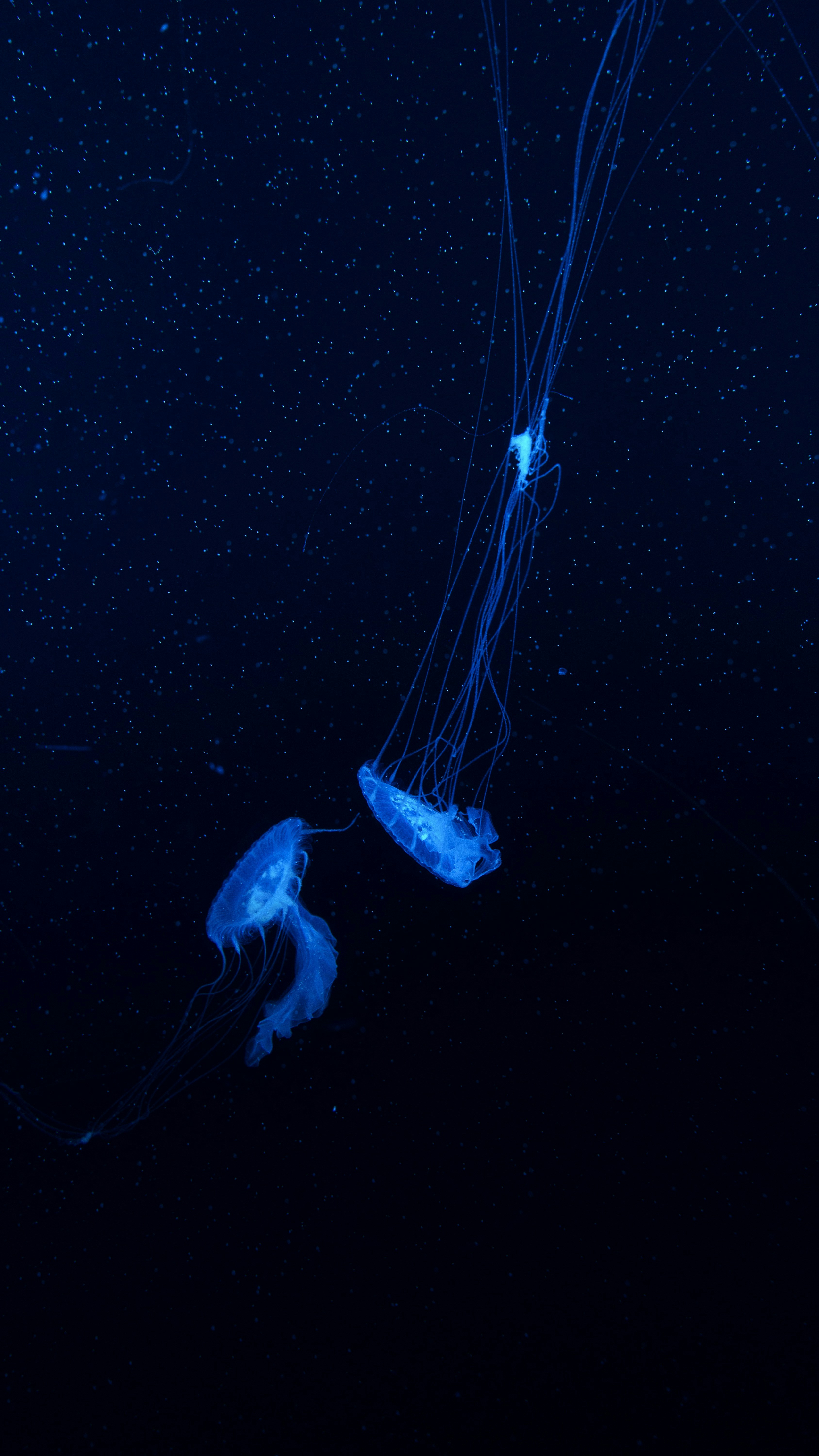 4. 温かい助言：美容鍼灸を活用したスキンケアの提案