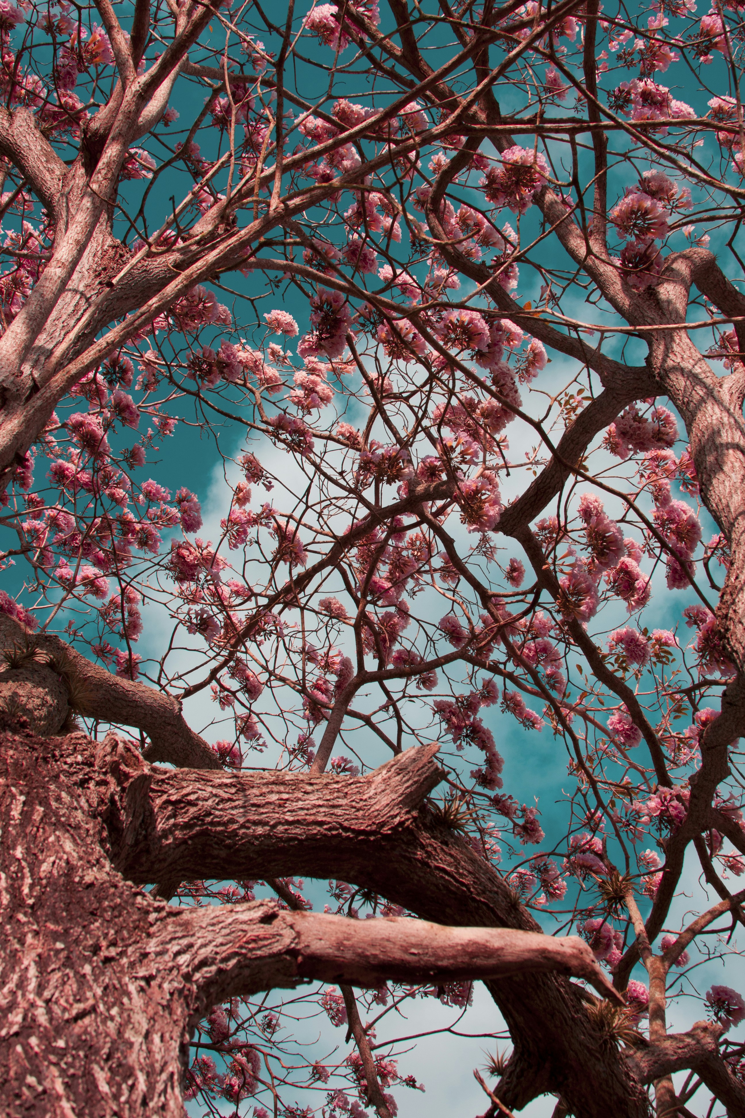 Photo by eduardocanophotoco