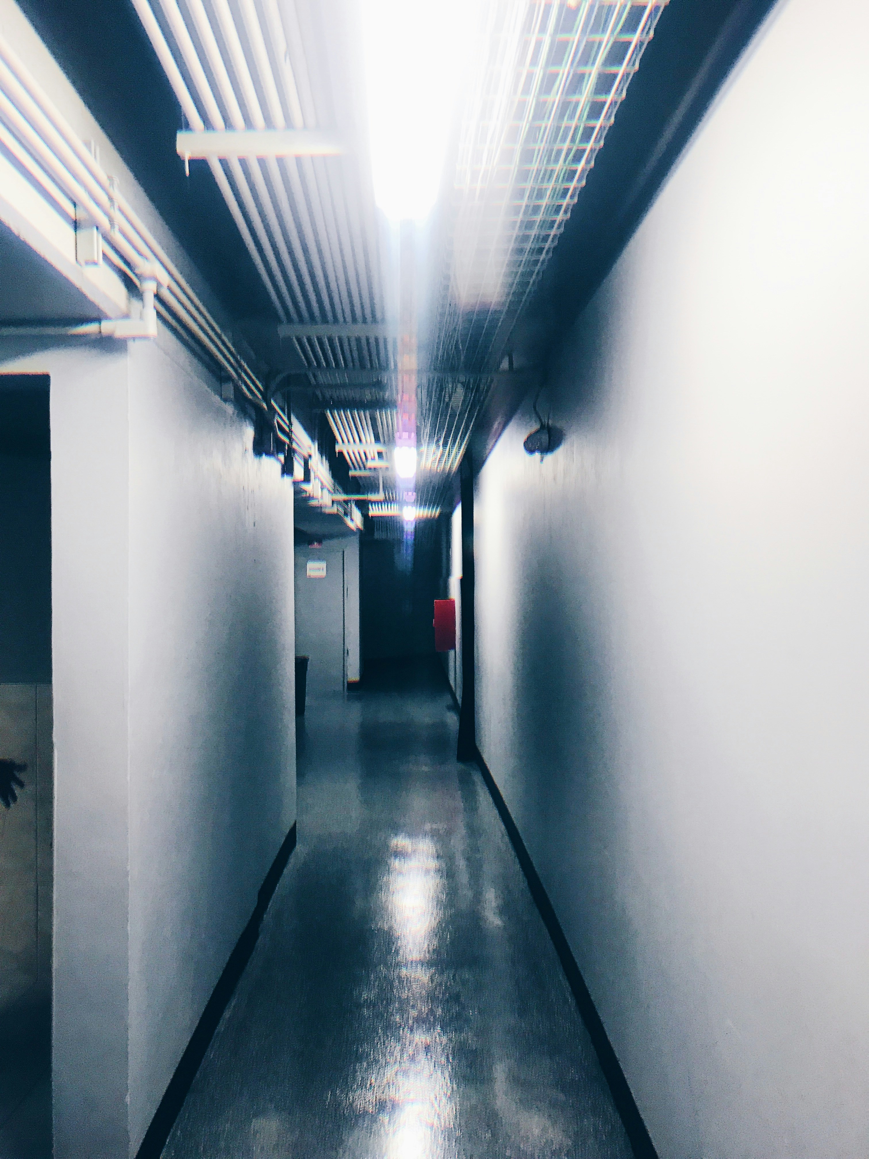 Photo by eduardocanophotoco