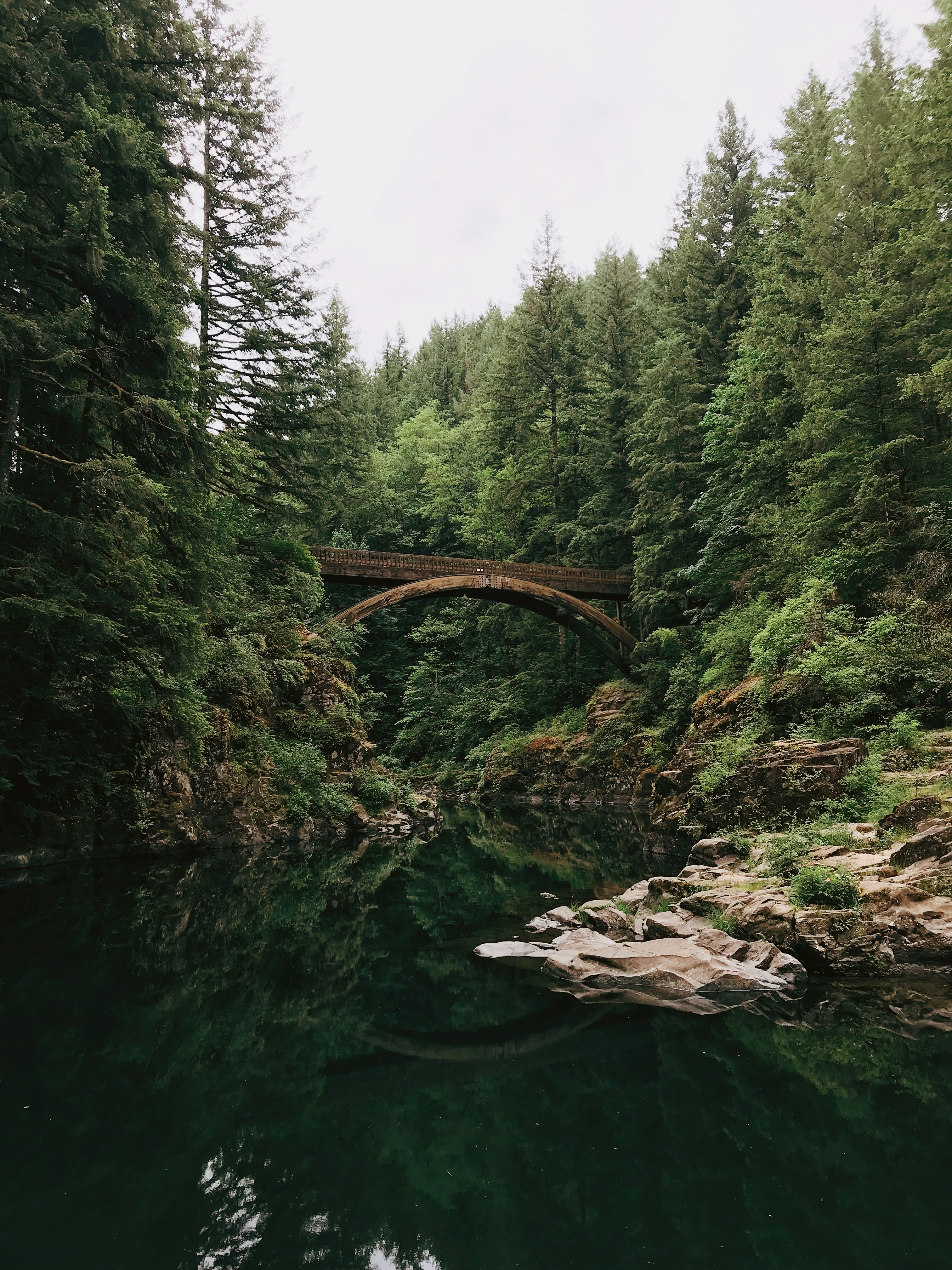 Photo by esaleniuc
