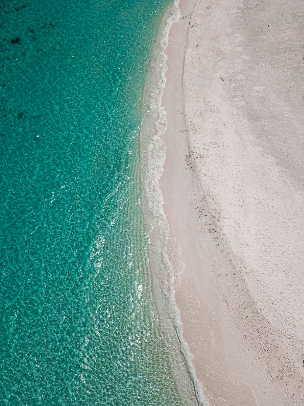 aerial photo of beach