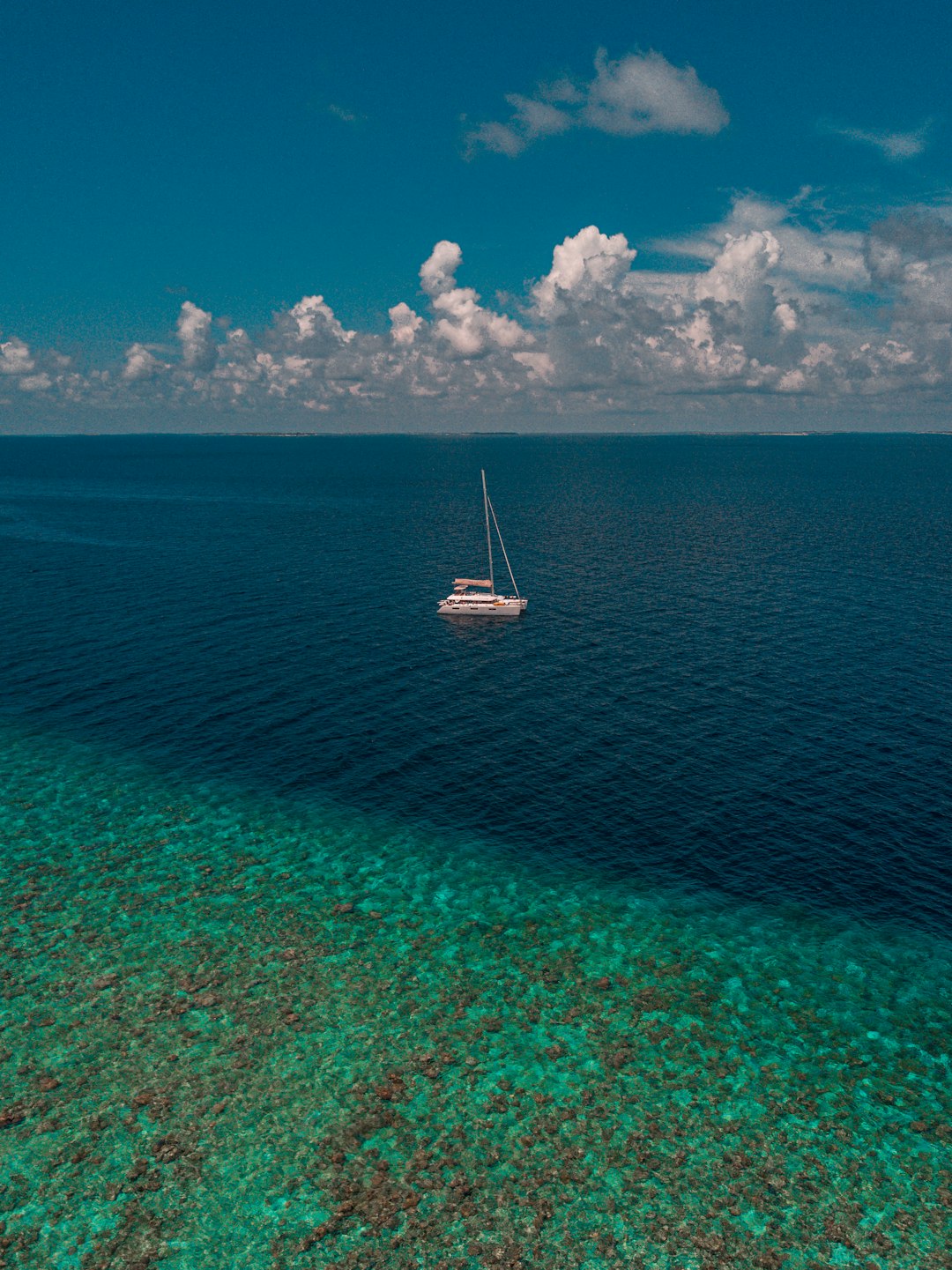 white speedboat at middle of sea