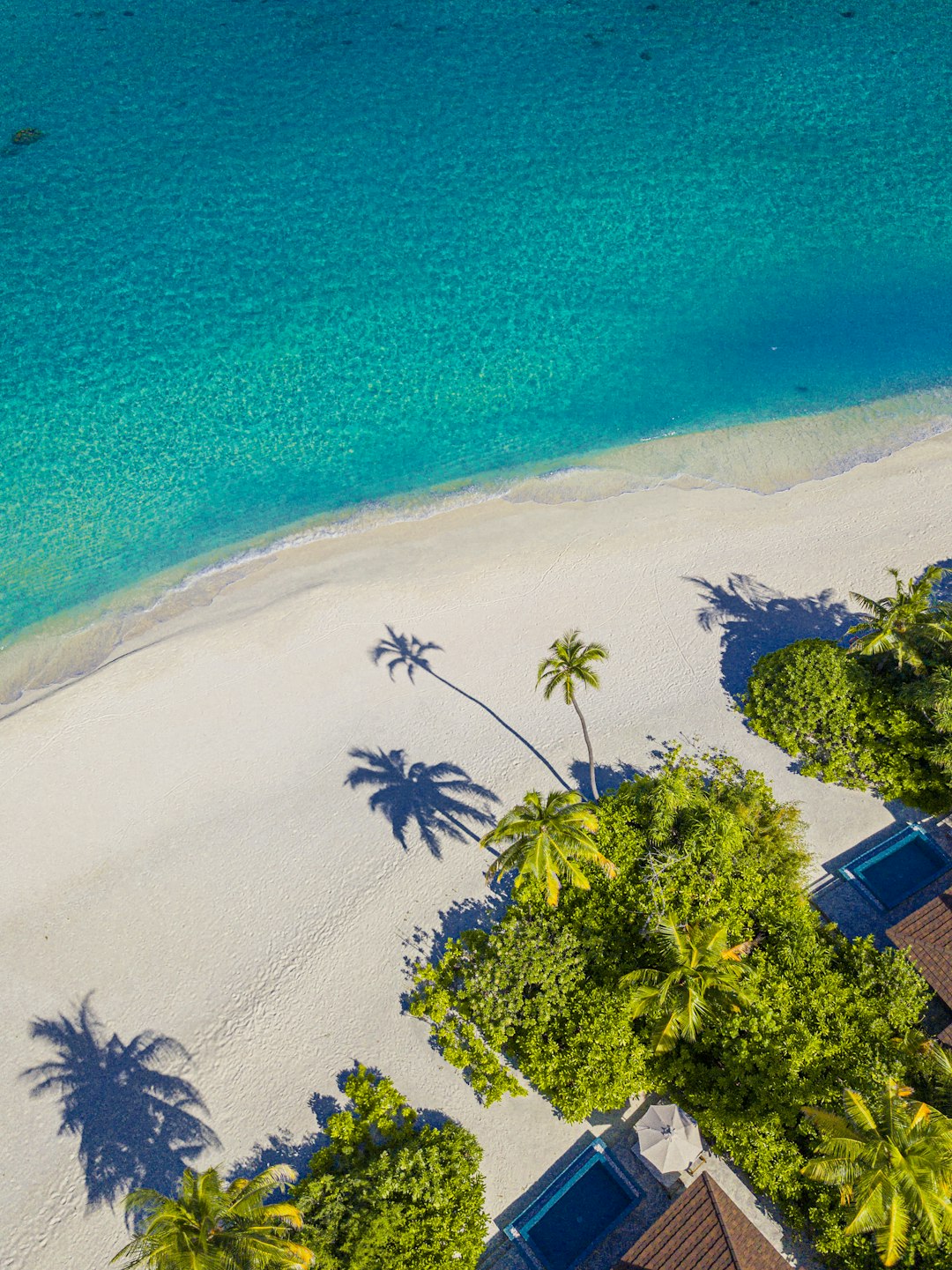 island aerial photograph