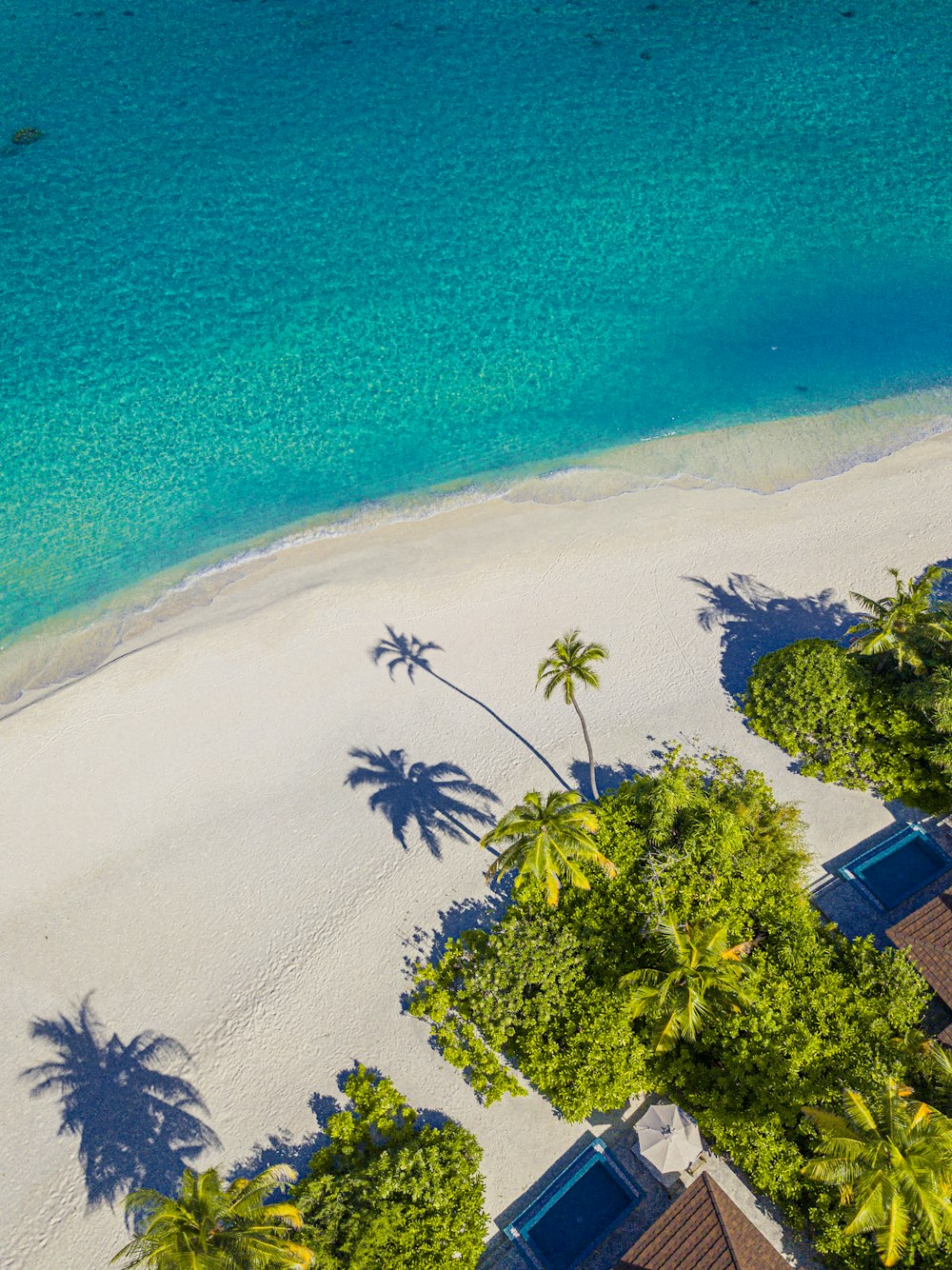 island aerial photograph