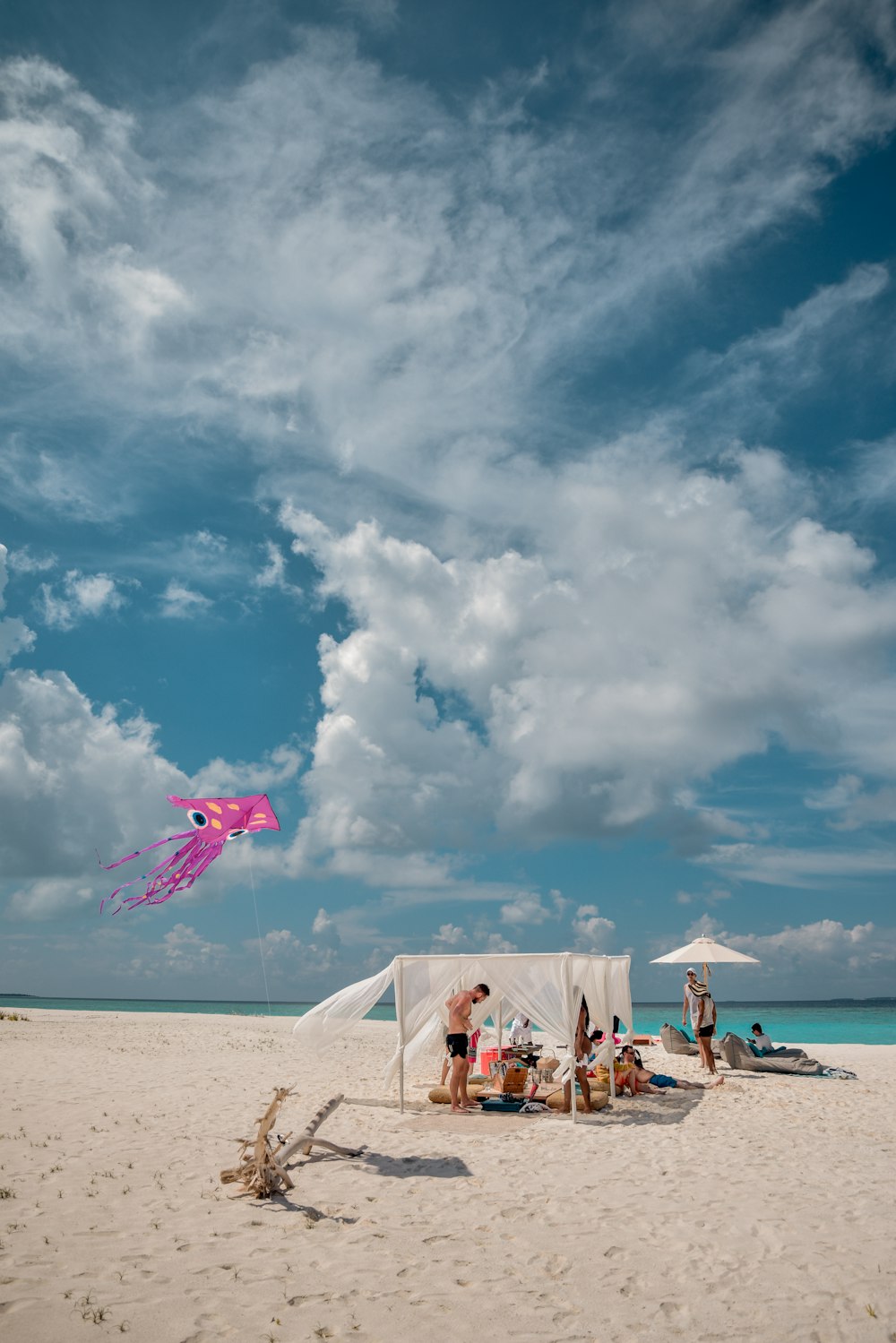a group of people on a beach flying a kite