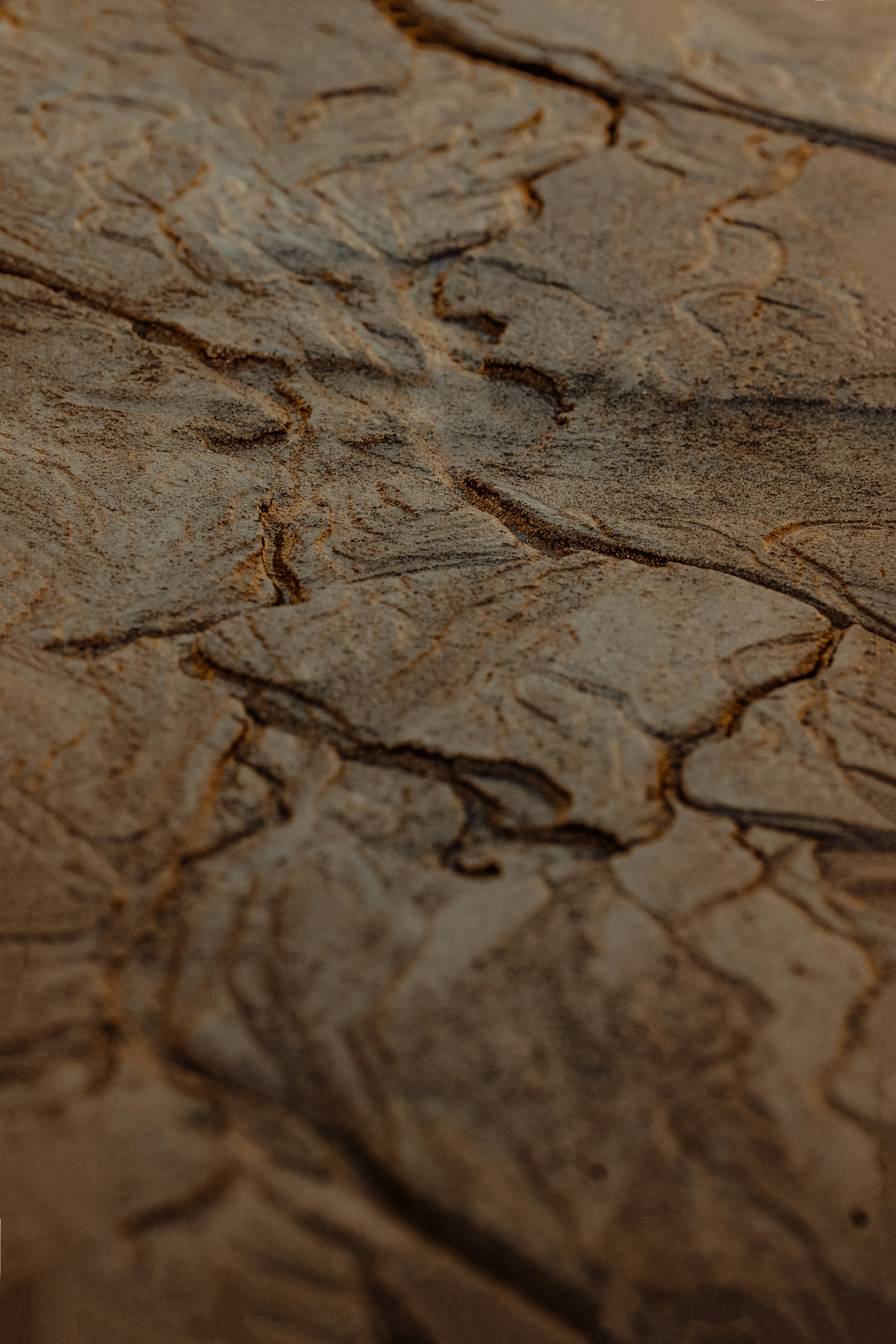 Photo by travelwithcm