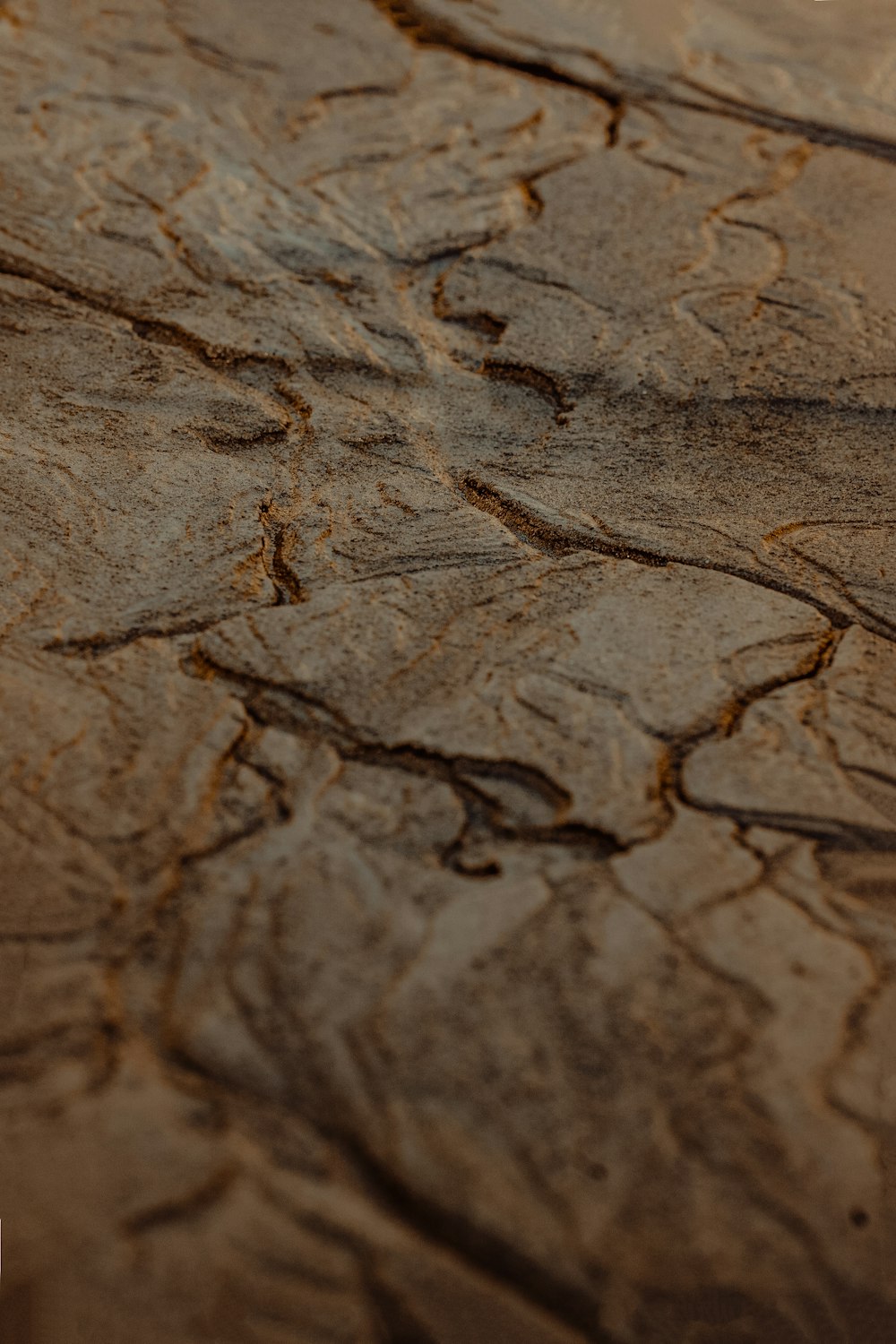 brown and black wooden surface